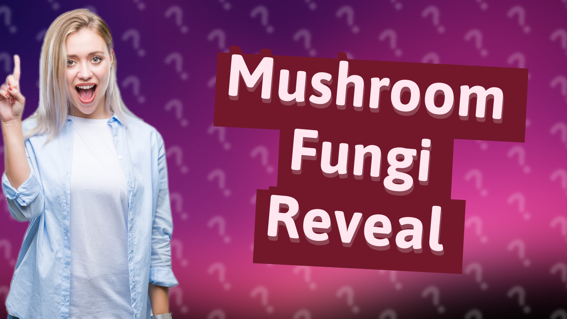 Mushroom Fungi Reveal