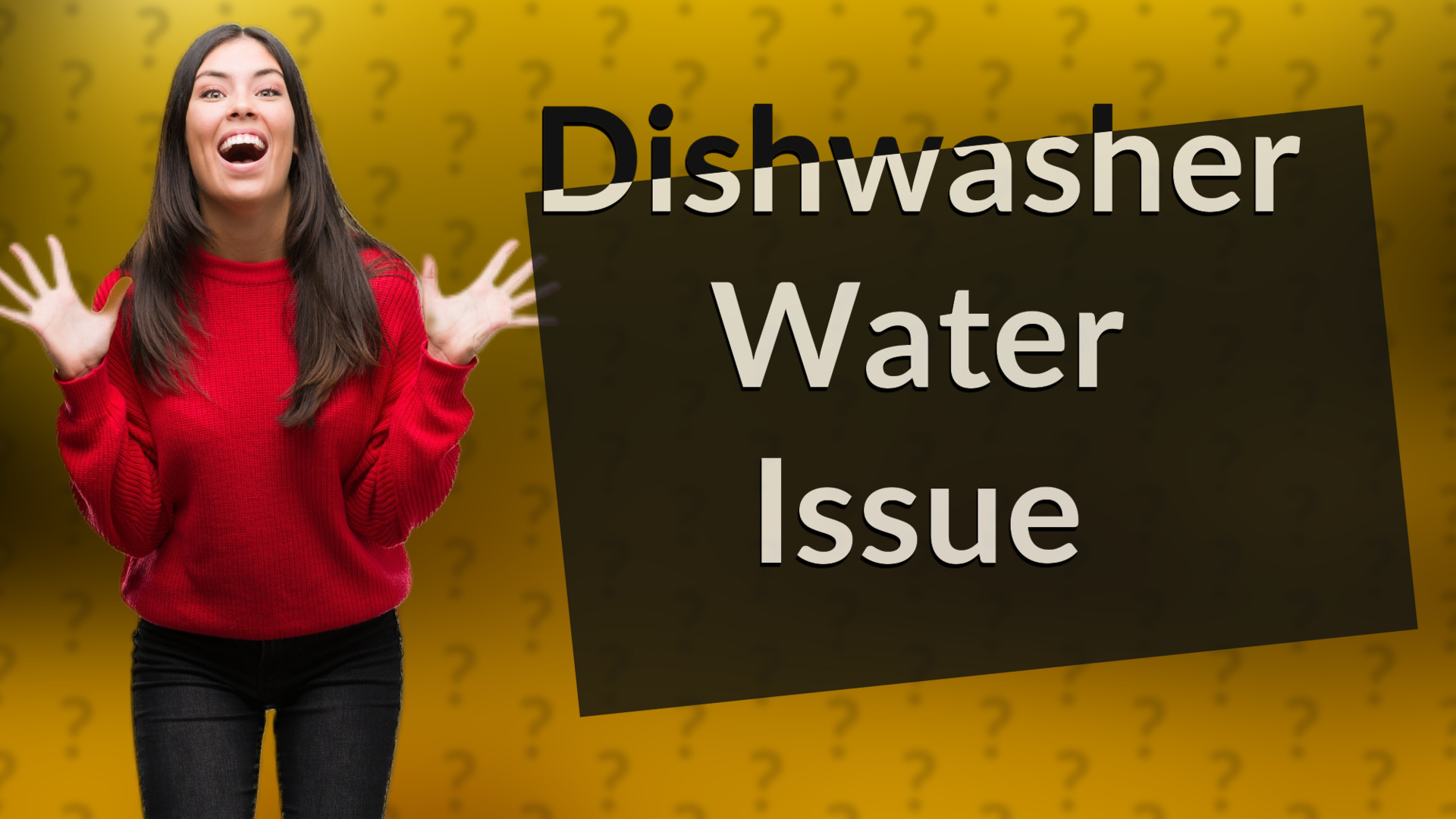 Dishwasher Water Issue