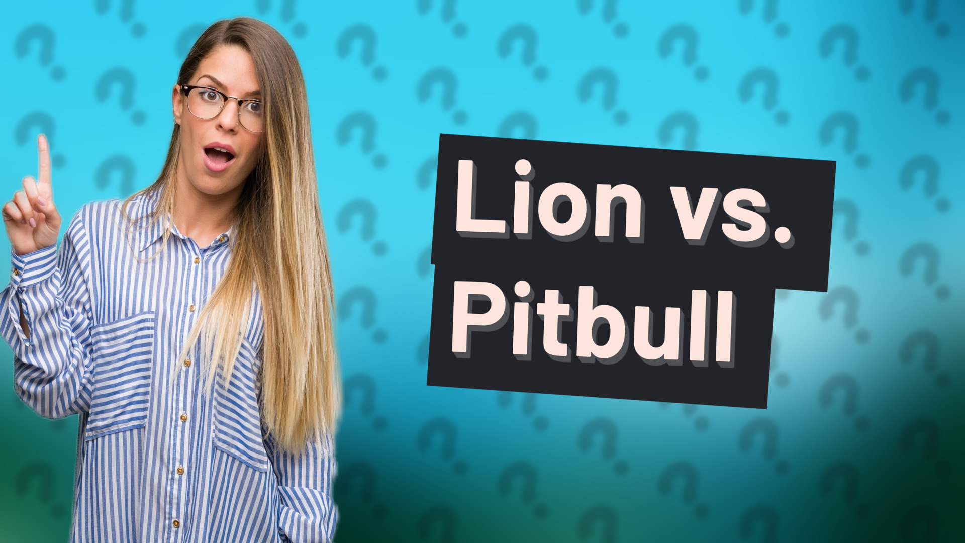 Lion vs. Pitbull