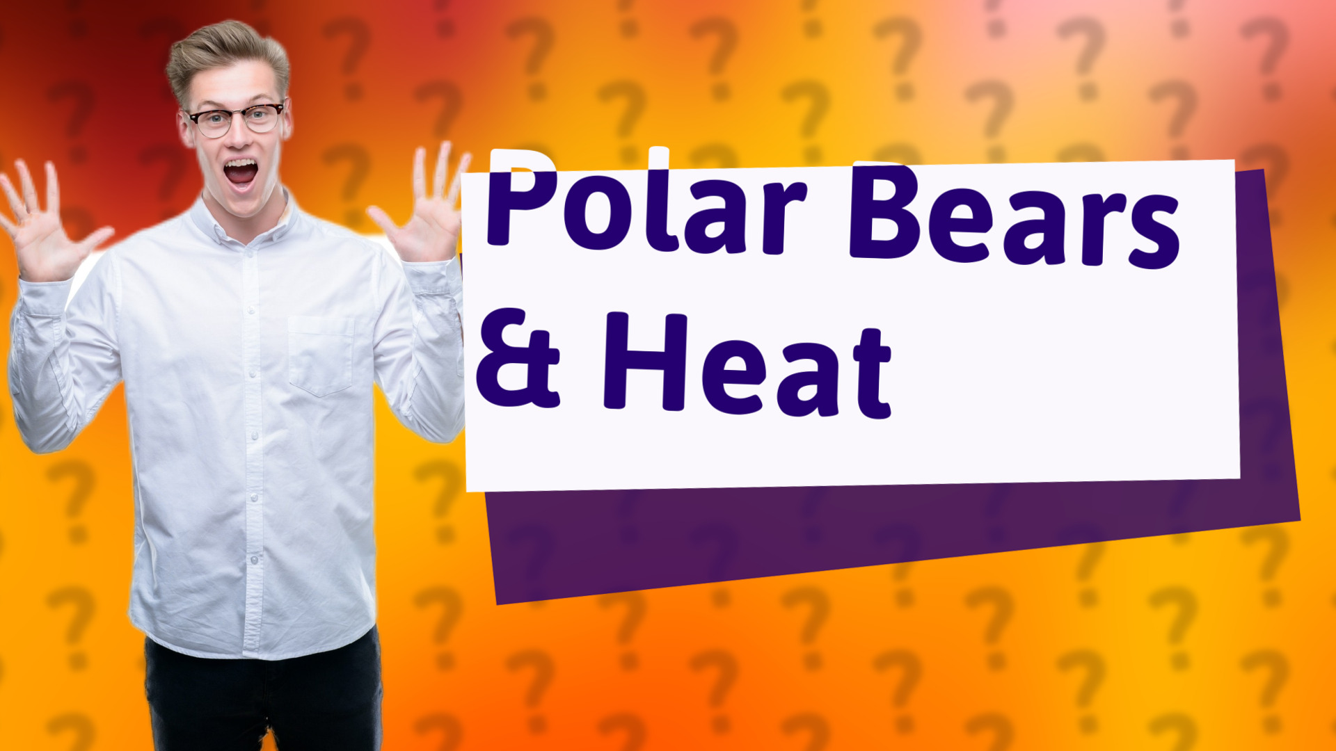 Polar Bears & Heat