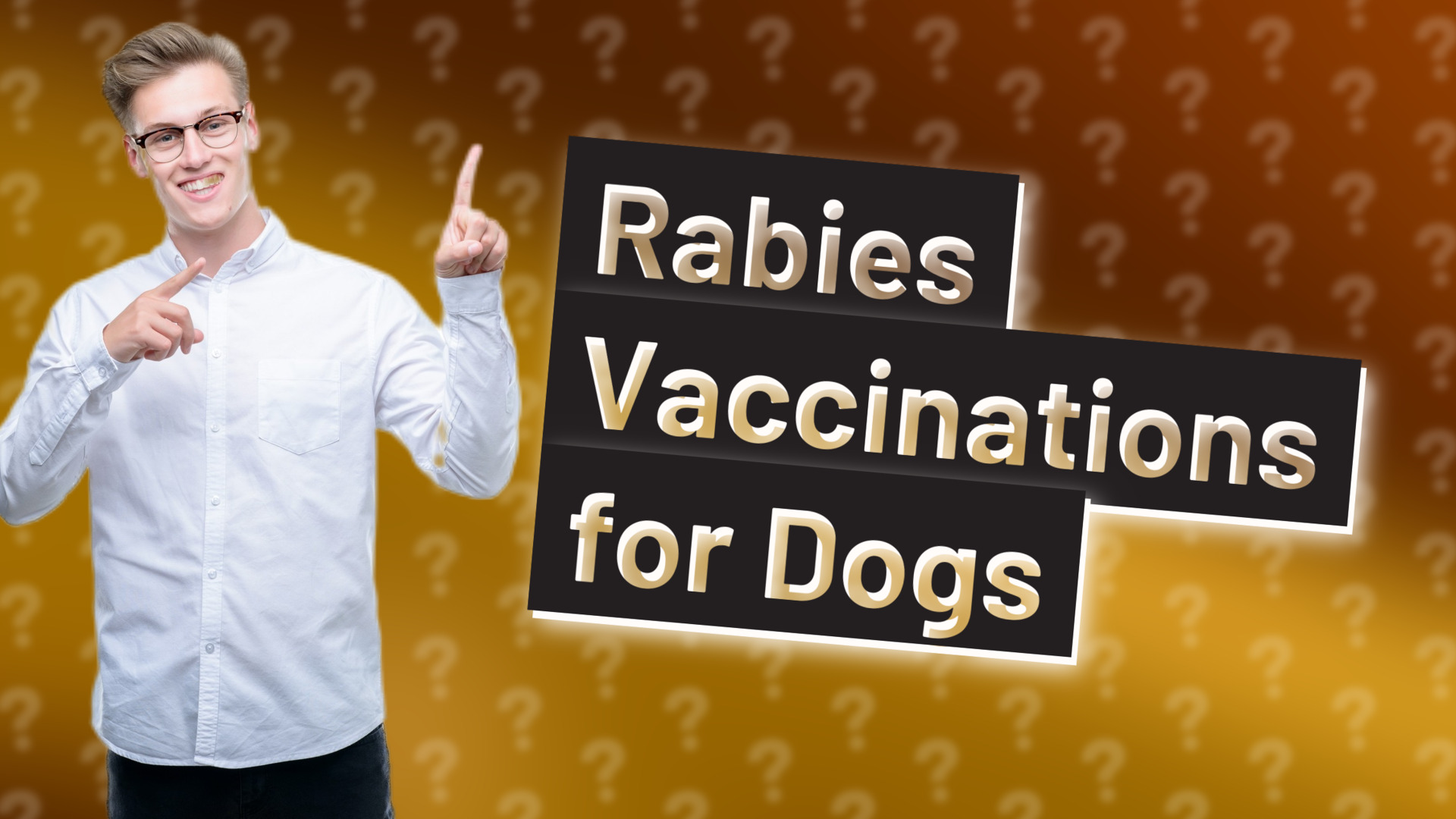 Rabies Vaccinations for Dogs