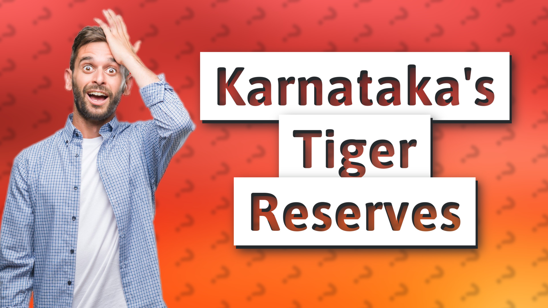 Karnataka's Tiger Reserves