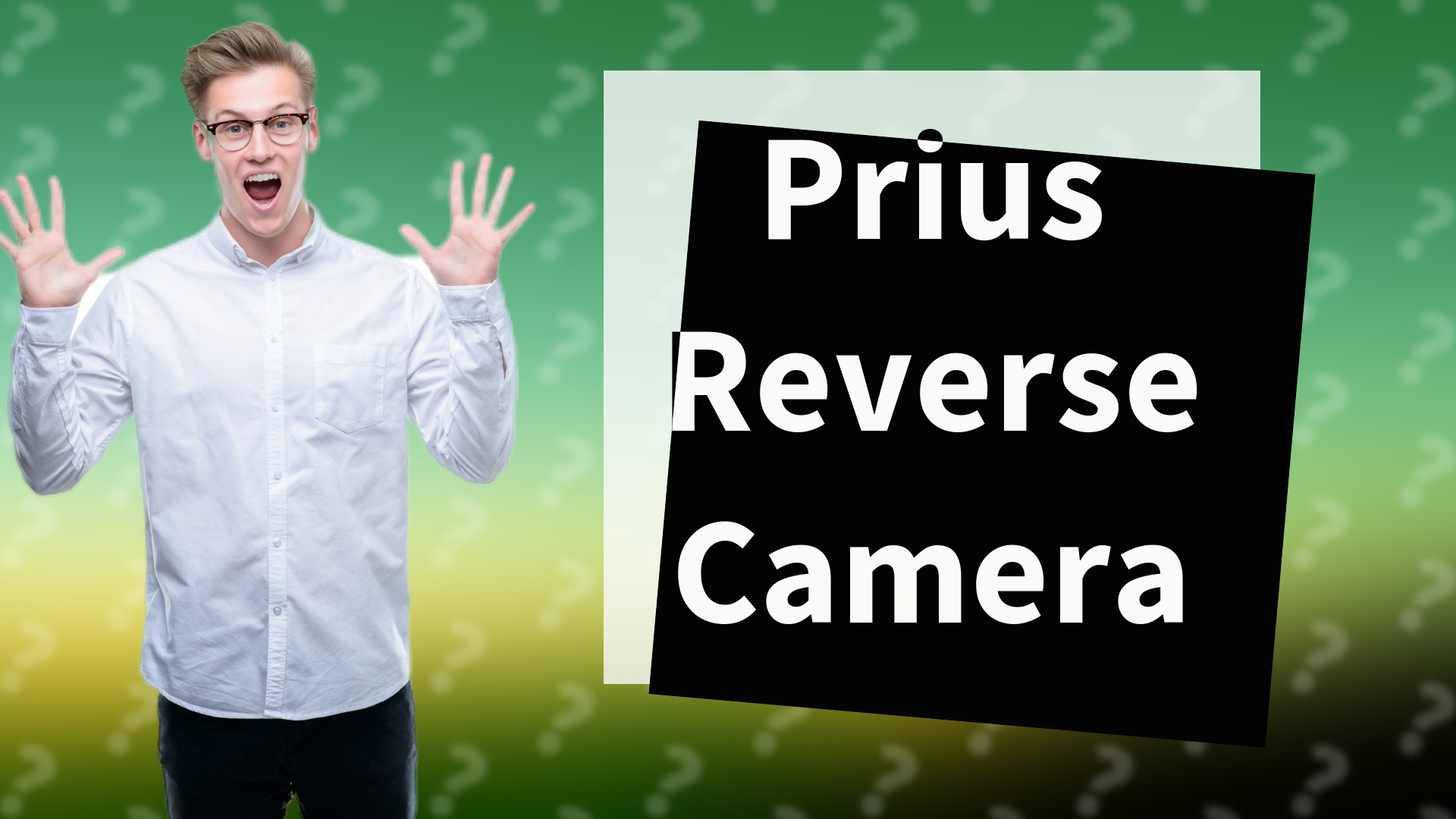 Prius Reverse Camera