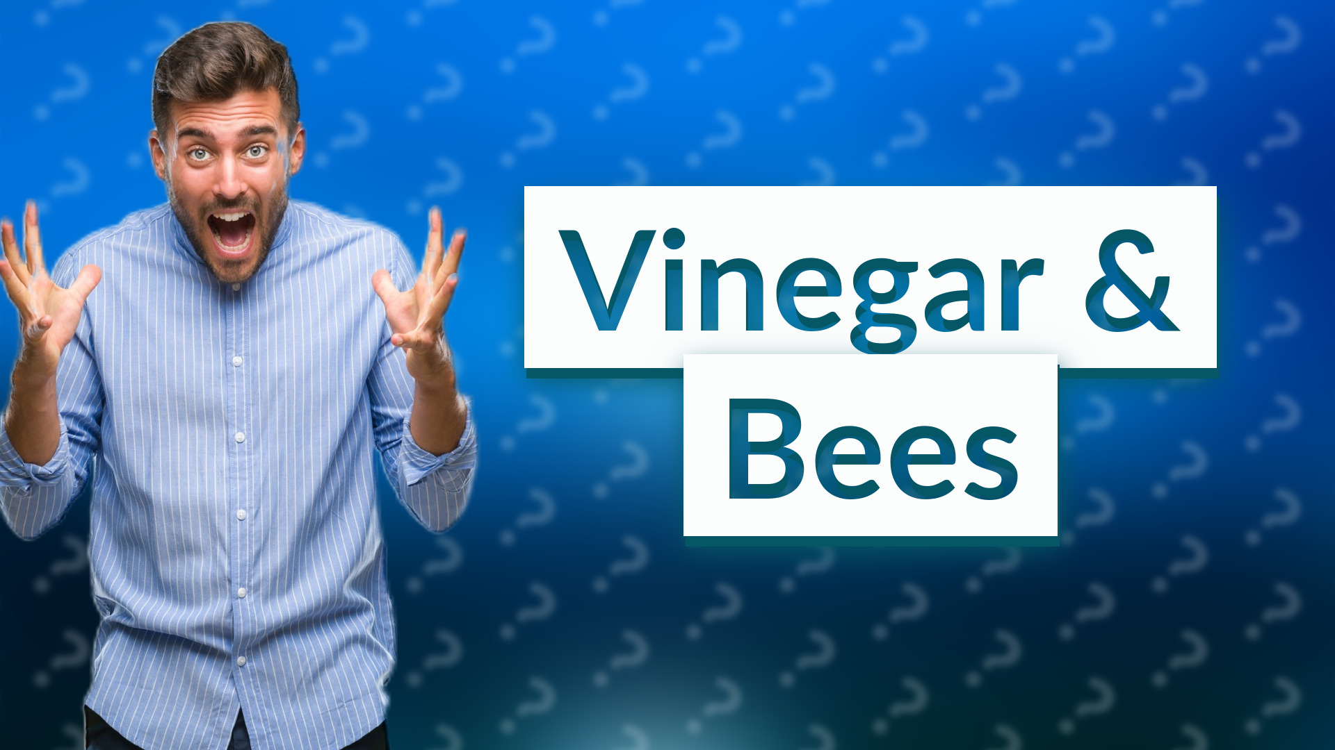 Vinegar & Bees