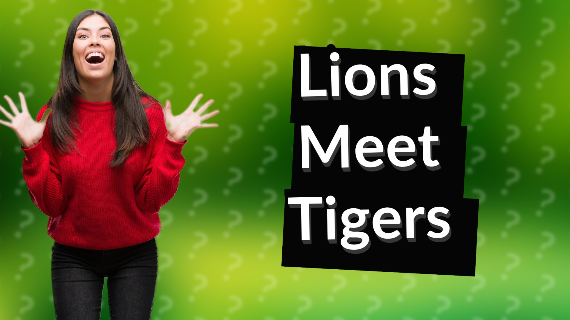 Lions Meet Tigers