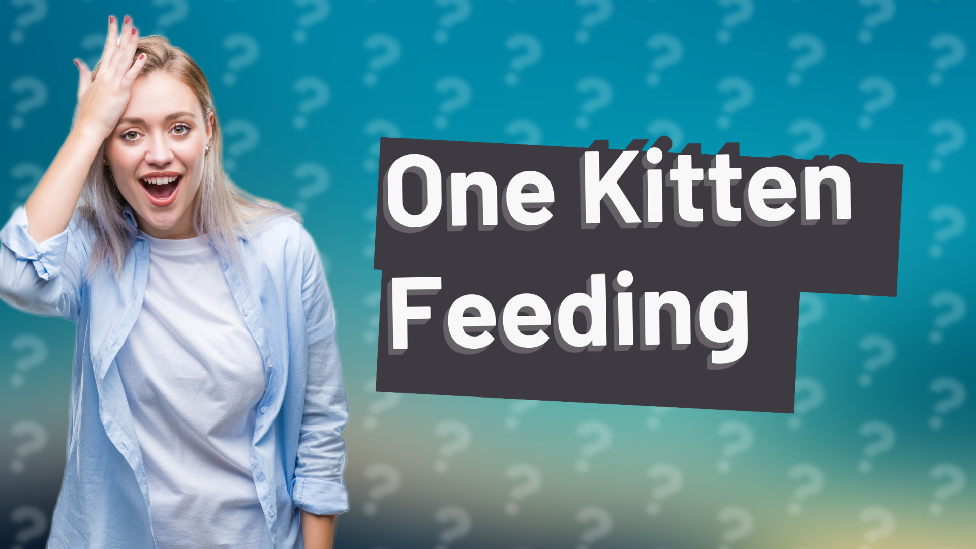 One Kitten Feeding