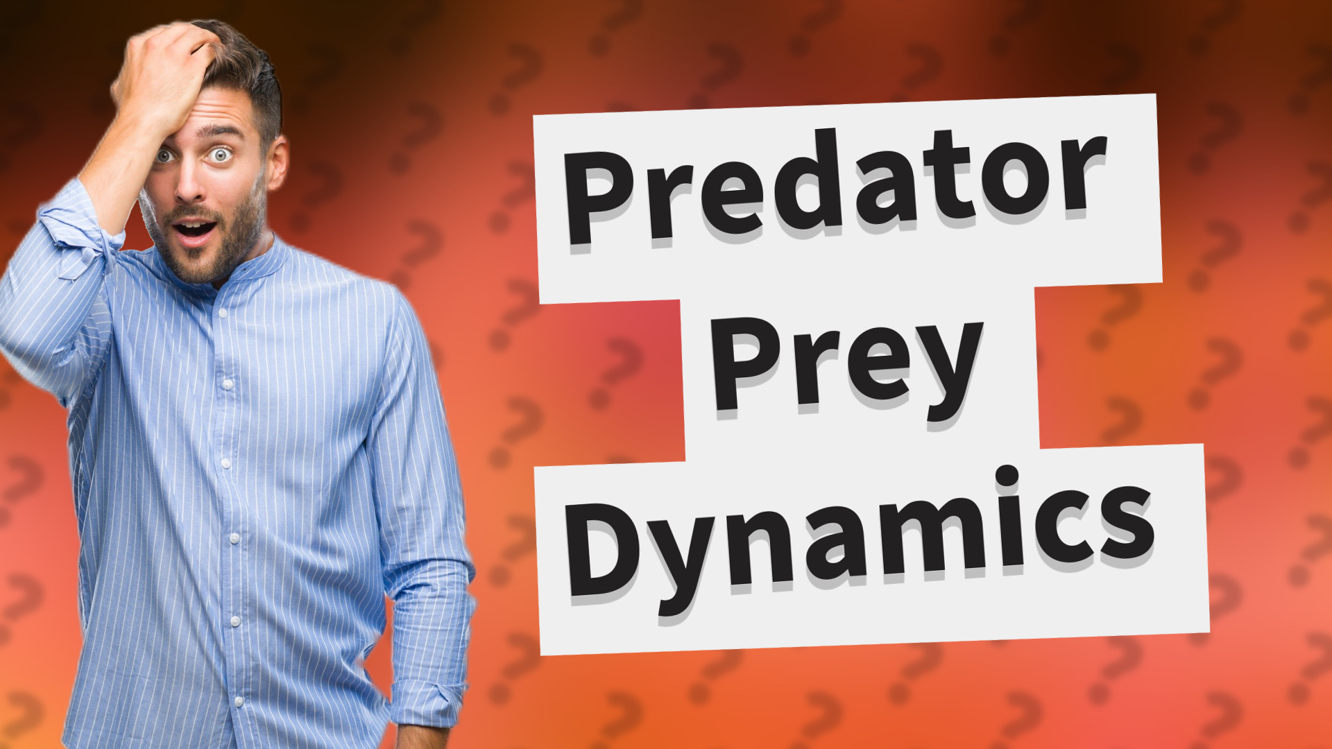 Predator Prey Dynamics