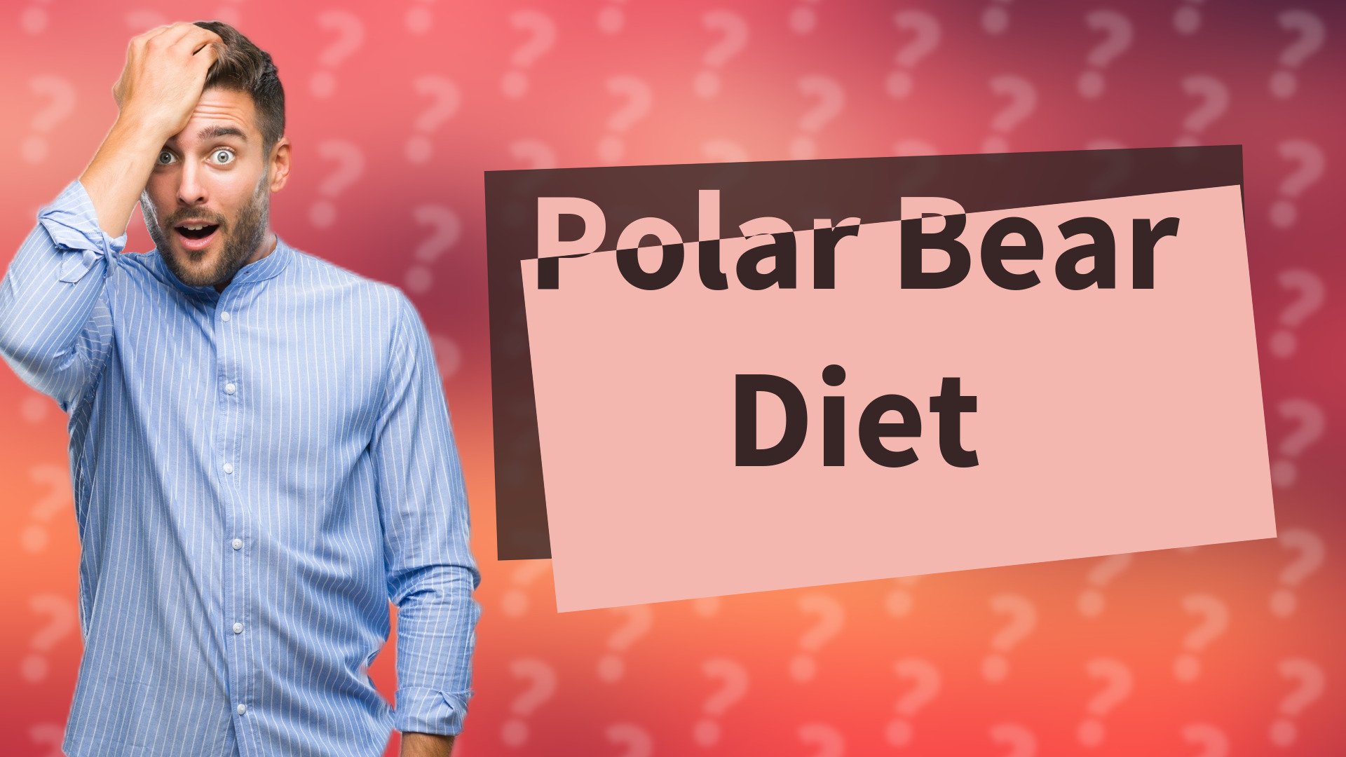 Polar Bear Diet