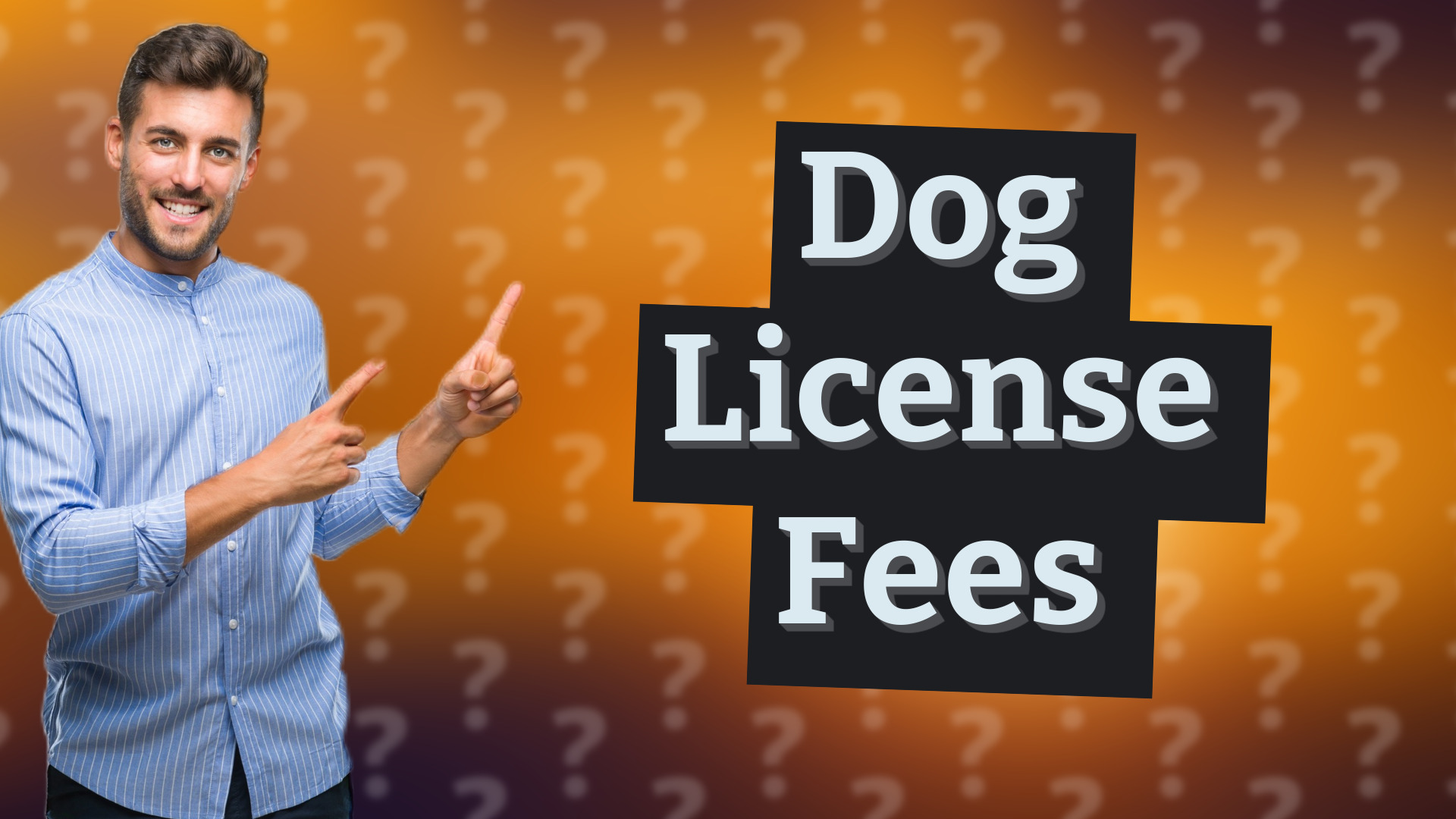 Dog License Fees