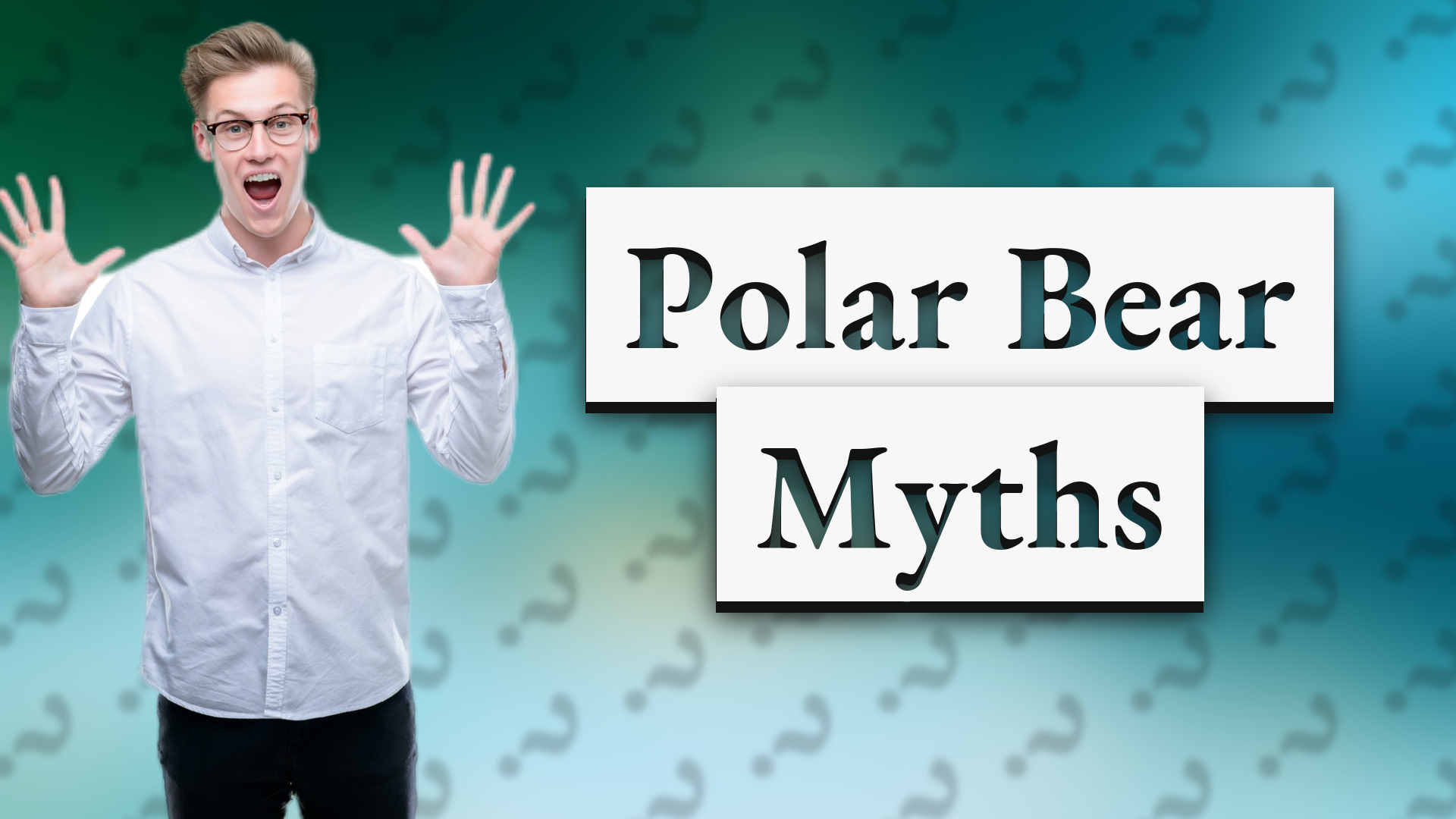 Polar Bear Myths
