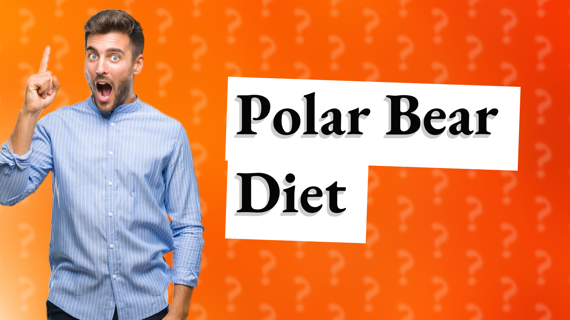 Polar Bear Diet