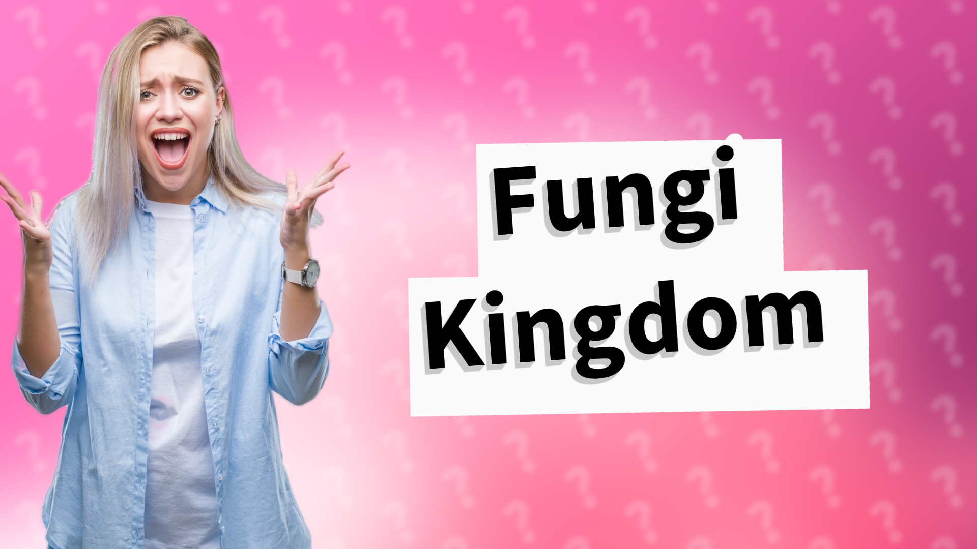 Fungi Kingdom