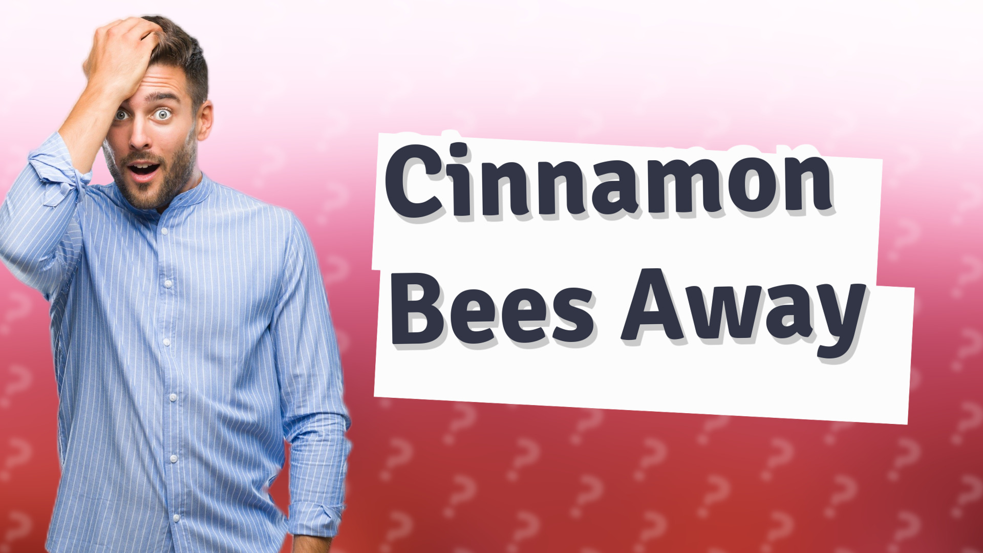 Cinnamon Bees Away