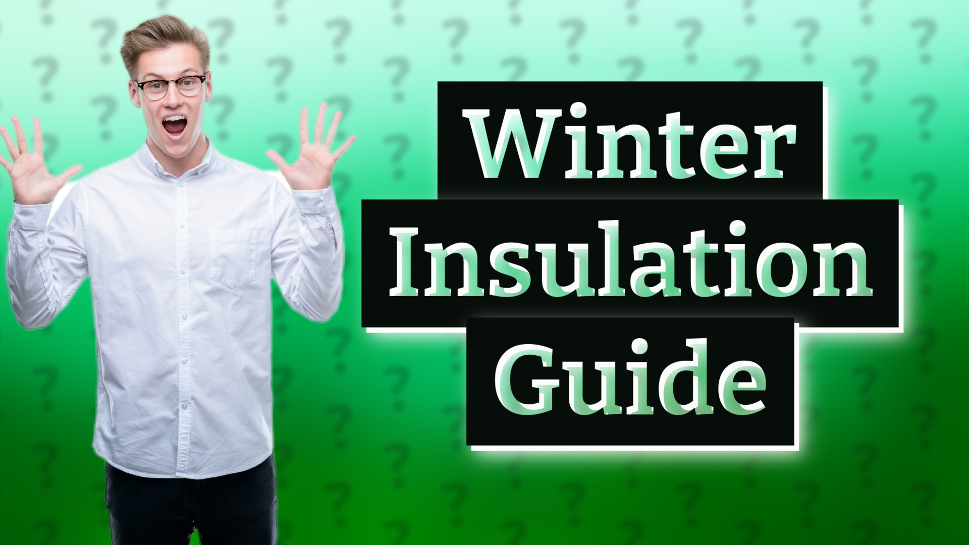 Winter Insulation Guide