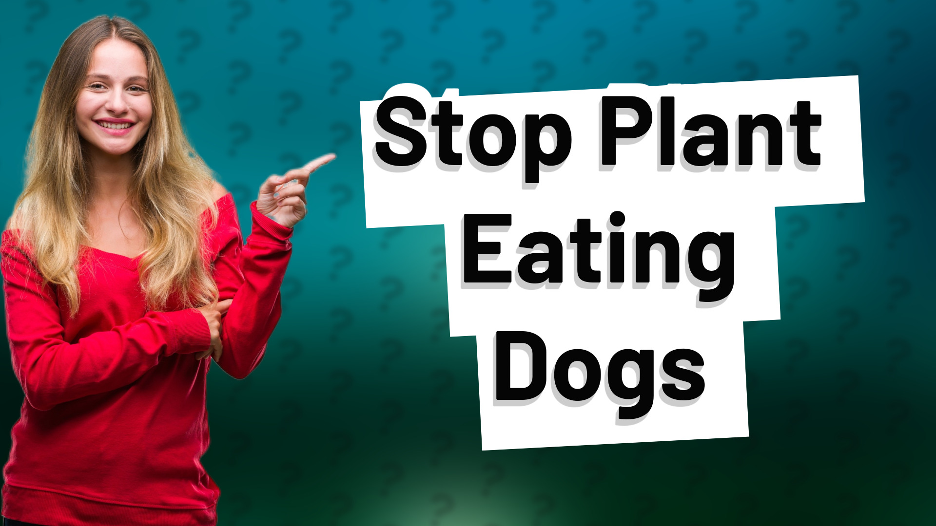 Stop Plant Eating Dogs