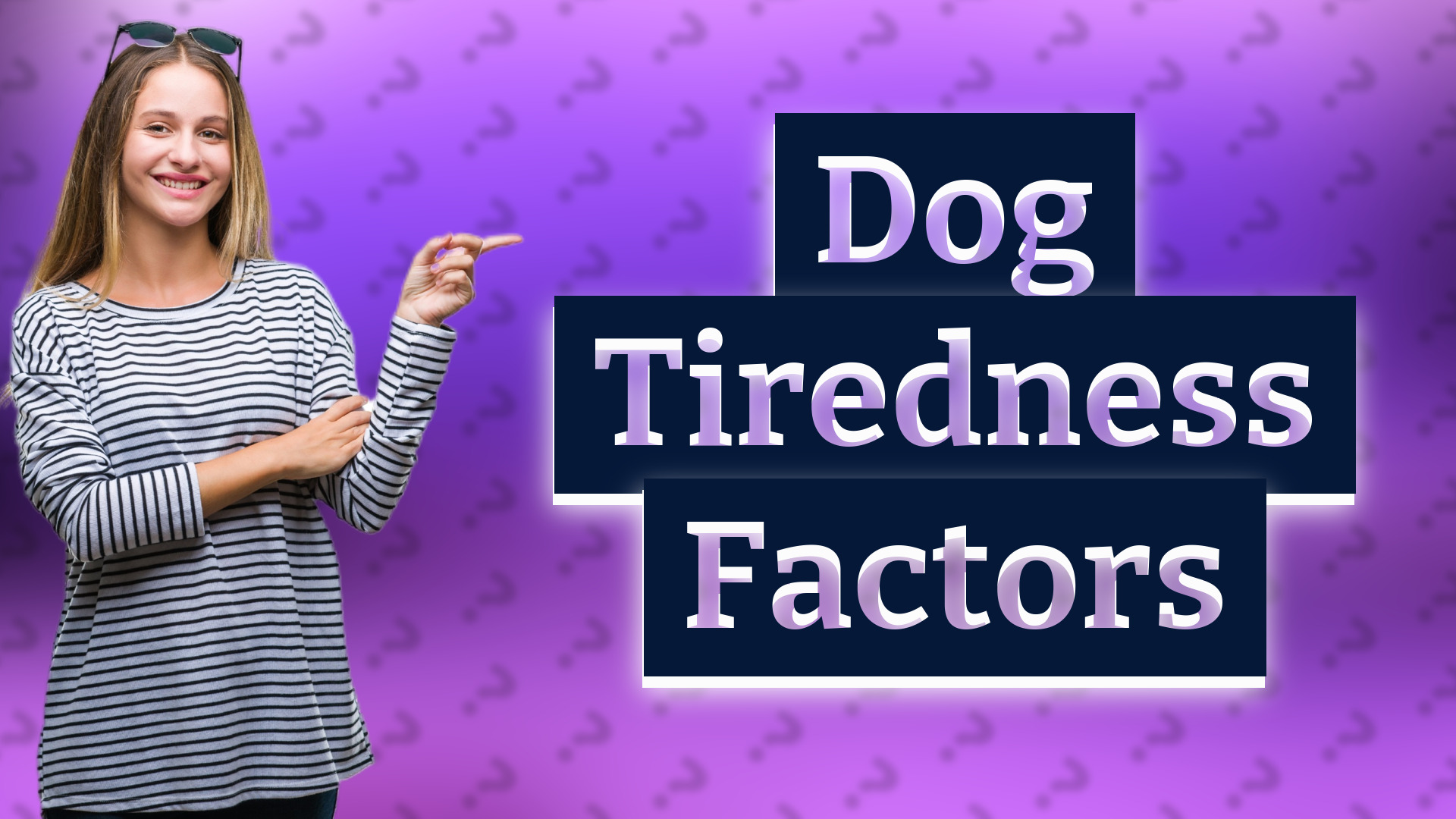 Dog Tiredness Factors