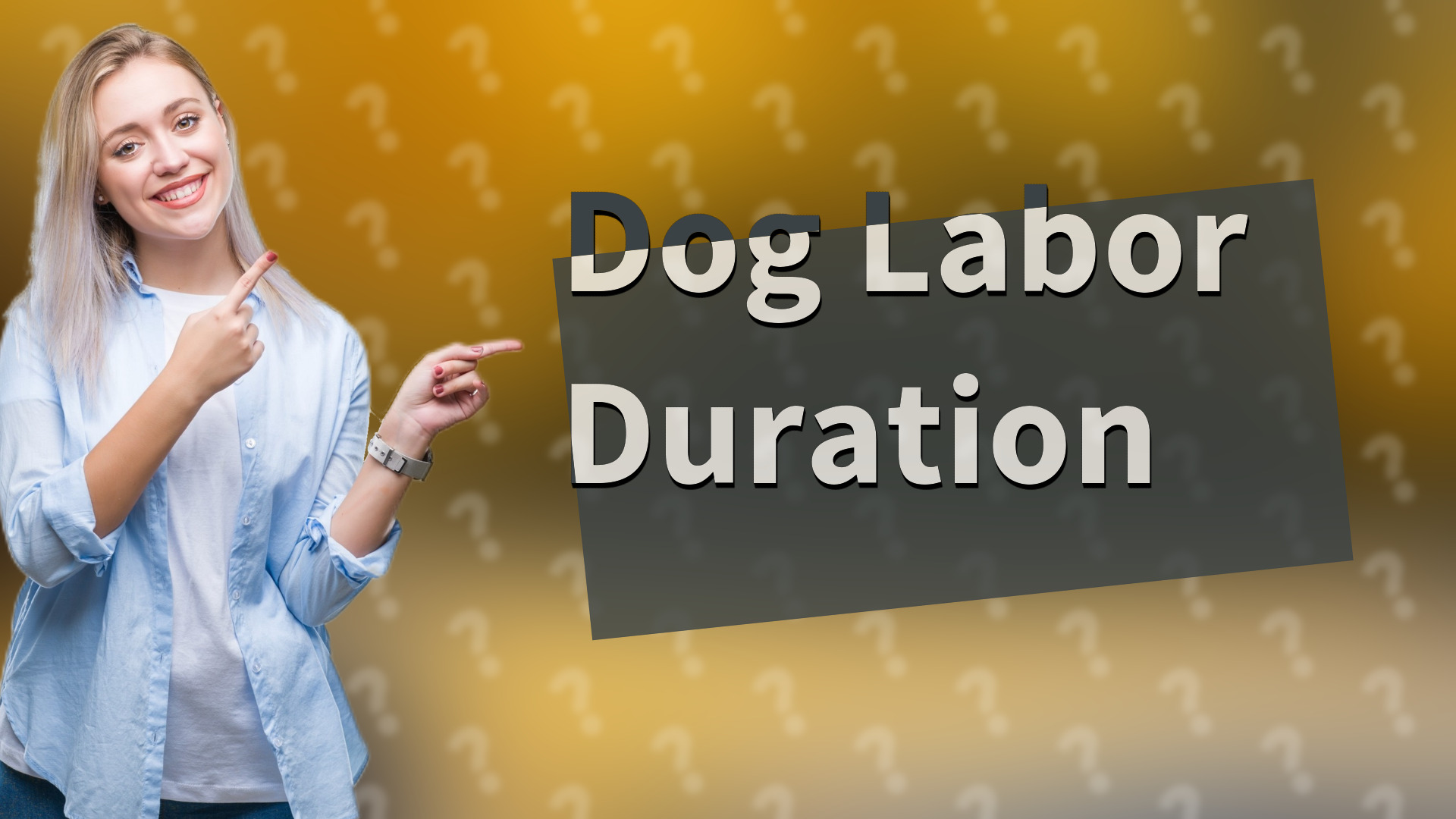 Dog Labor Duration