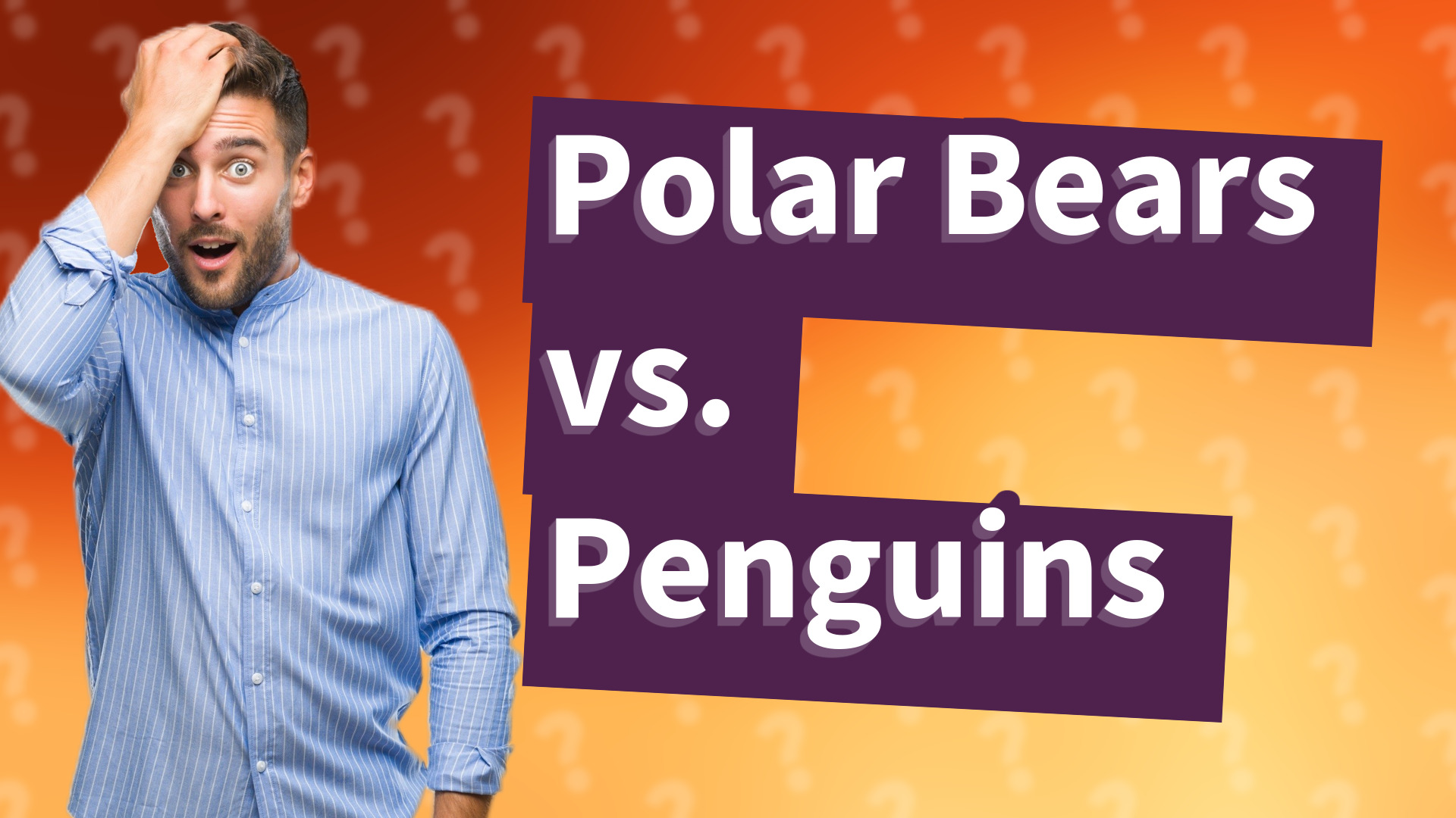 Polar Bears vs. Penguins