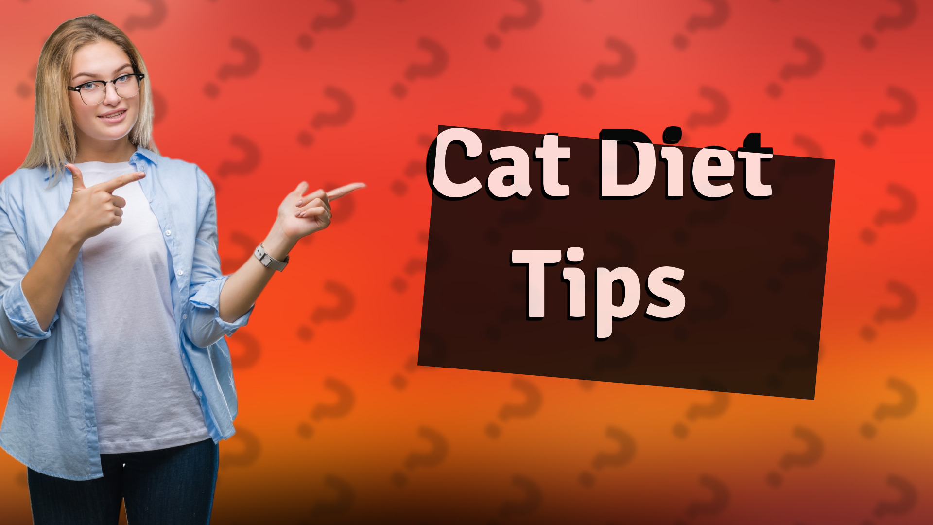 Cat Diet Tips