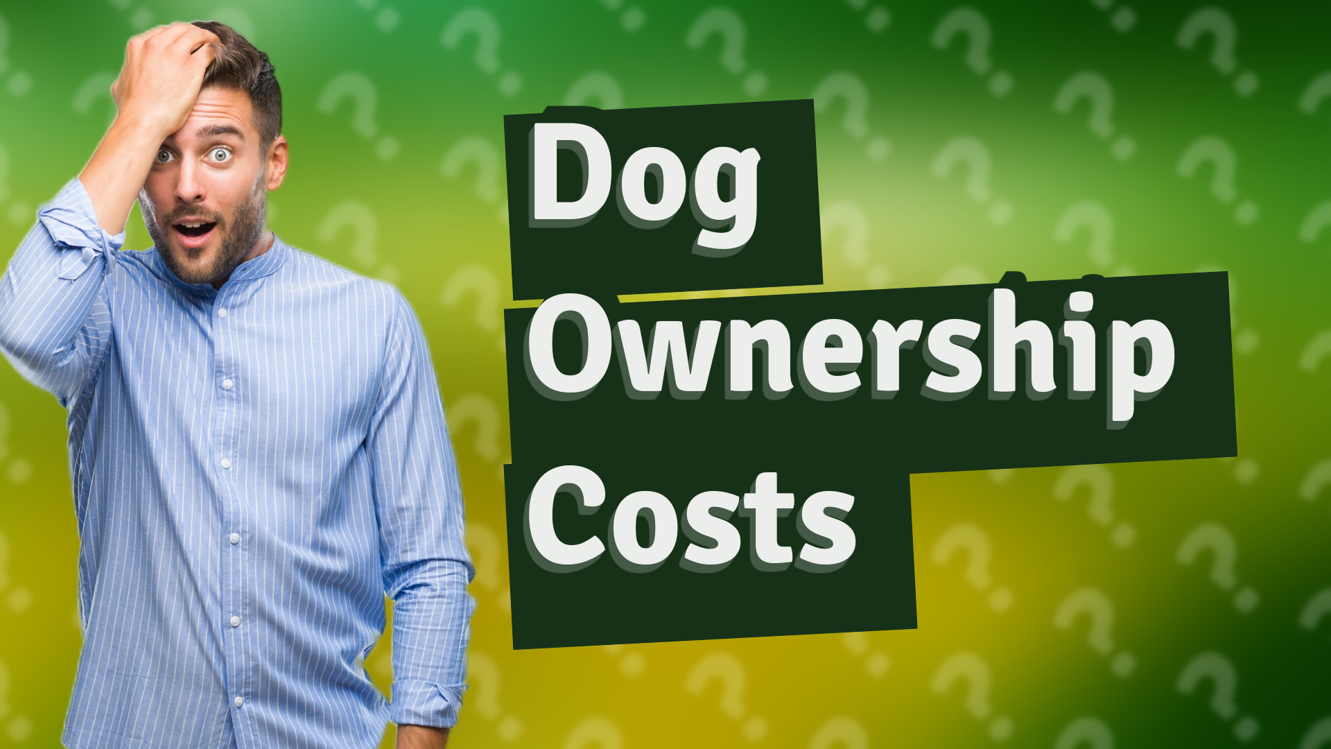 Dog Ownership Costs
