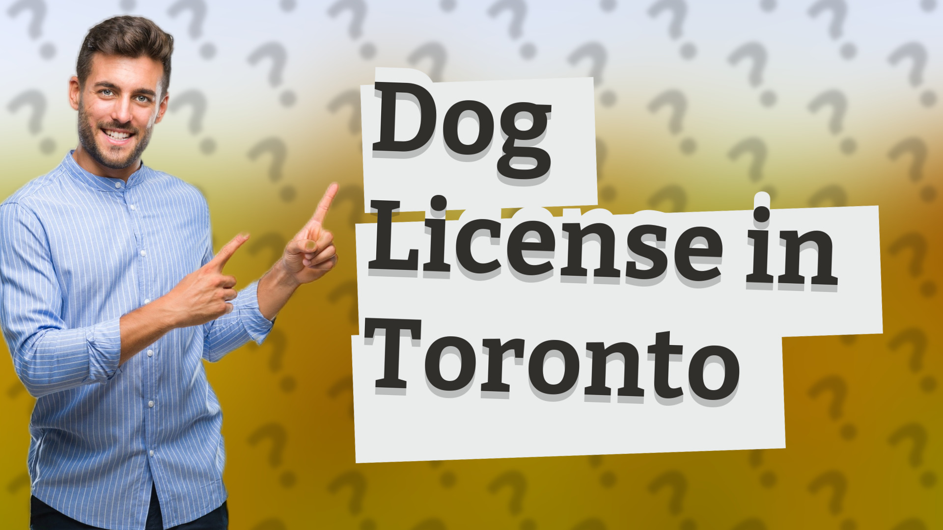 Dog License in Toronto