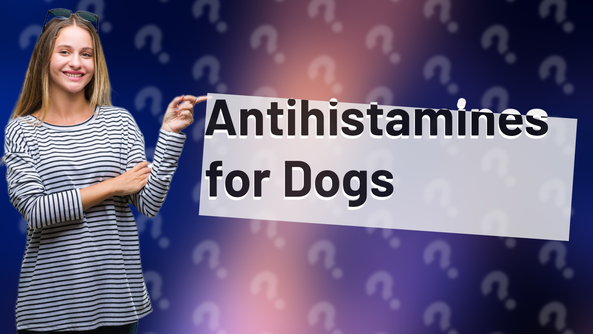Antihistamines for Dogs