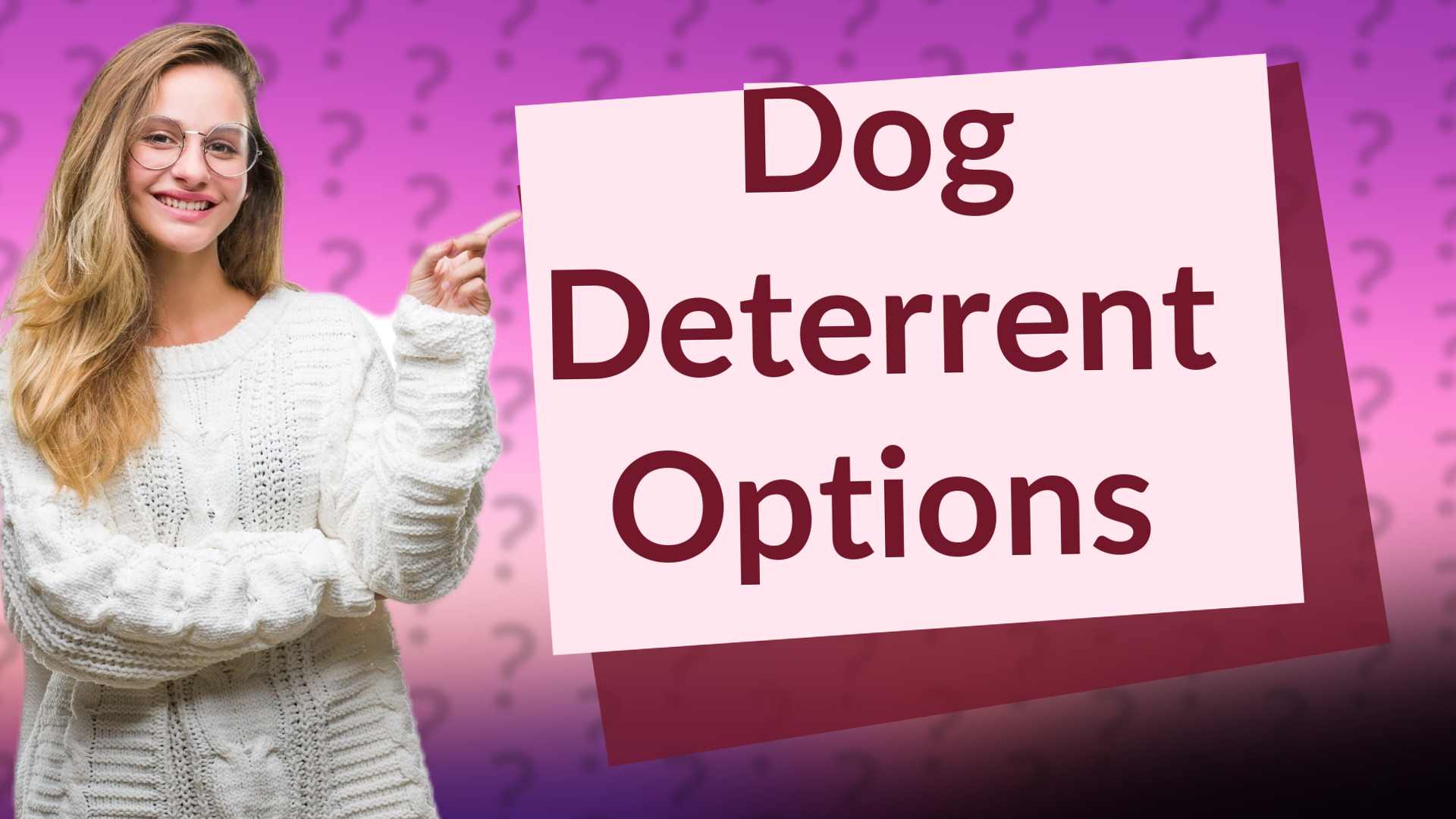 Dog Deterrent Options