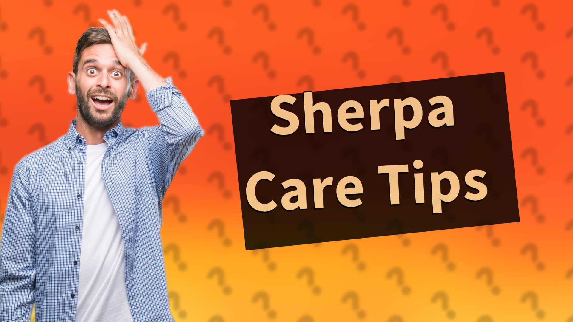 Sherpa Care Tips