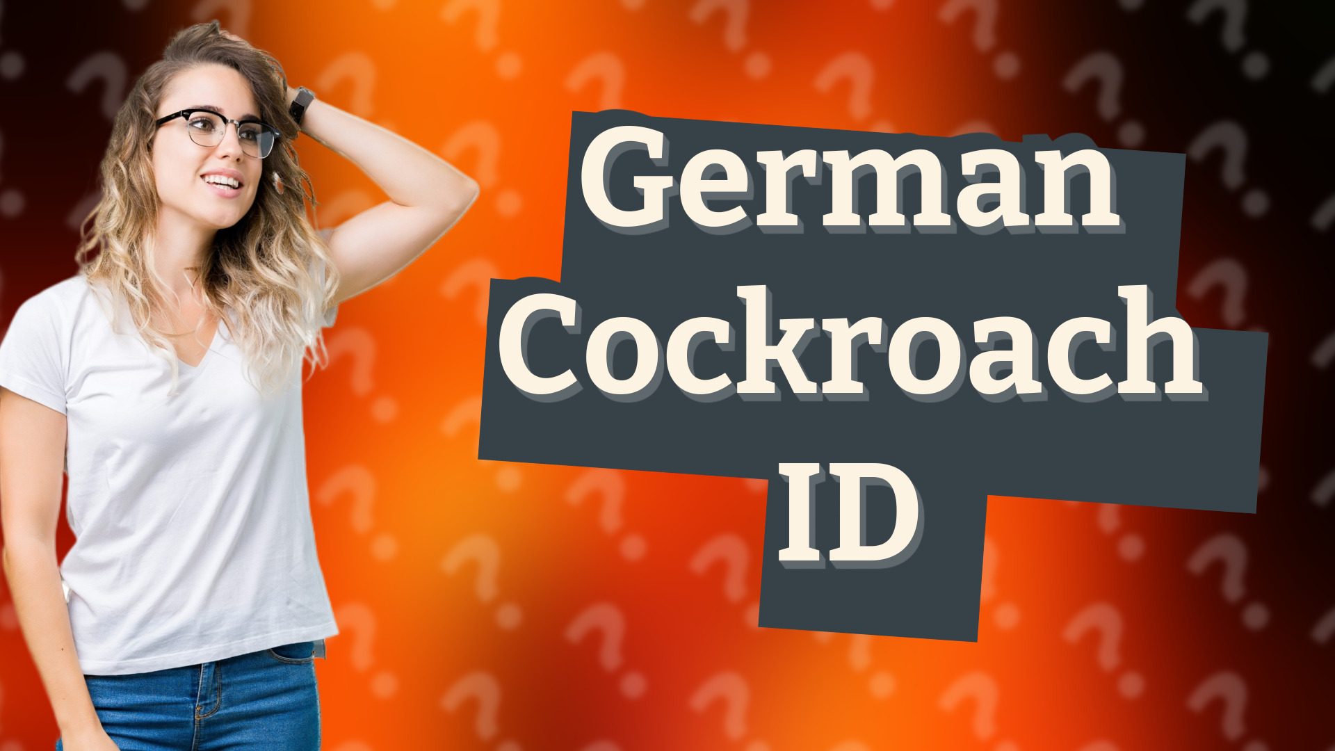 German Cockroach ID