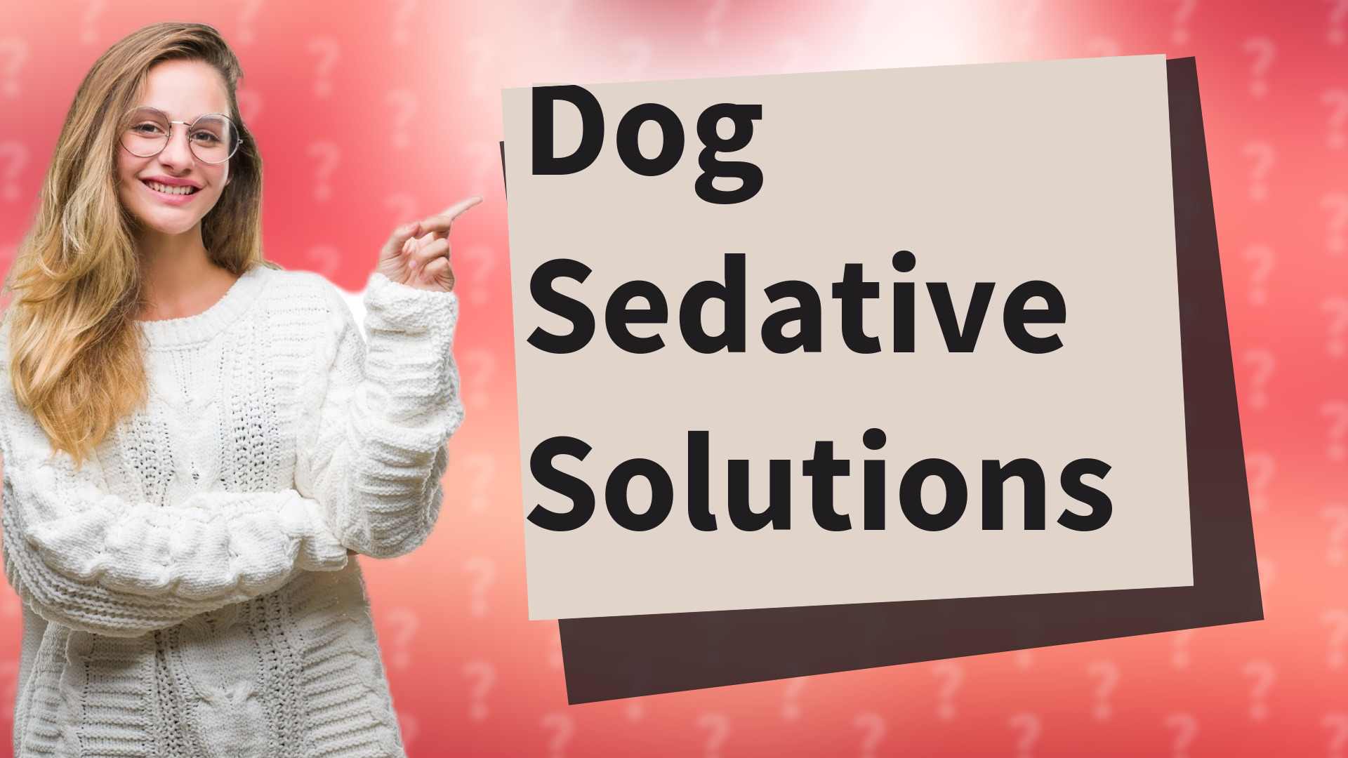 Dog Sedative Solutions