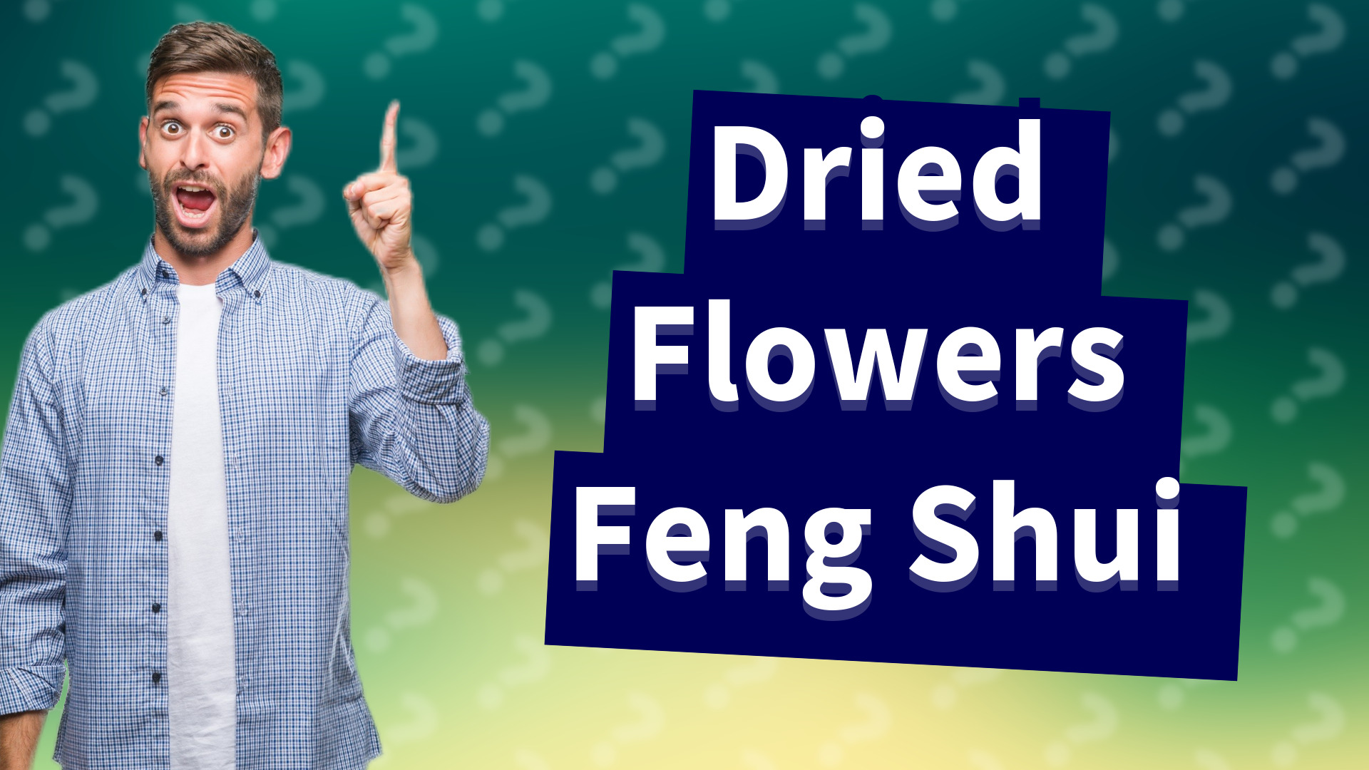 Dried Flowers Feng Shui