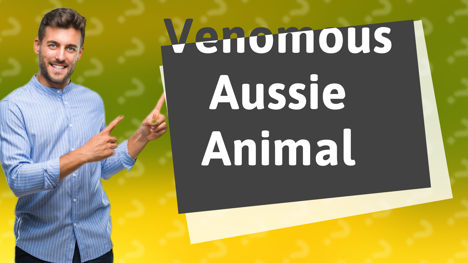 Venomous Aussie Animal