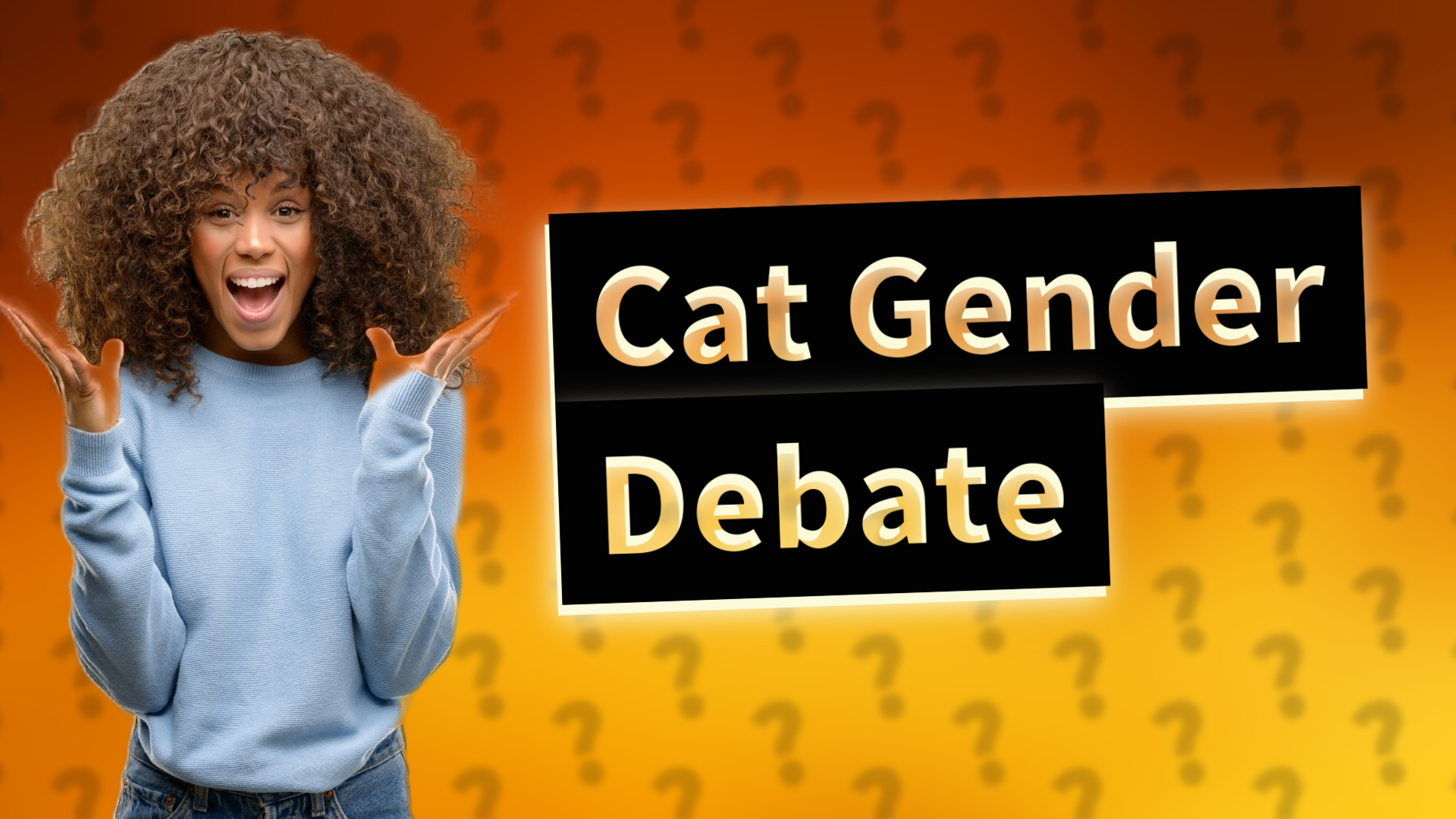 Cat Gender Debate