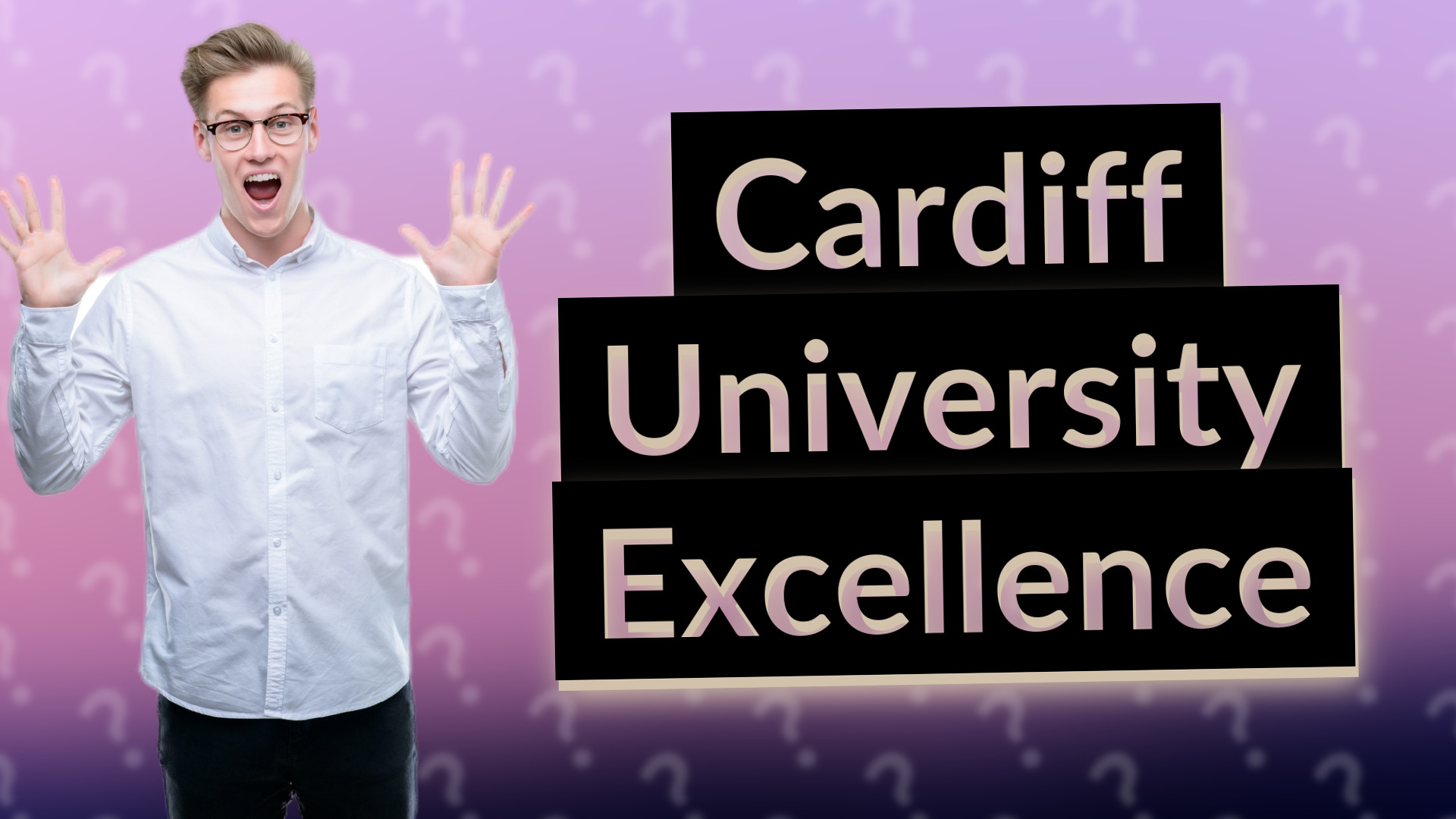Cardiff University Excellence
