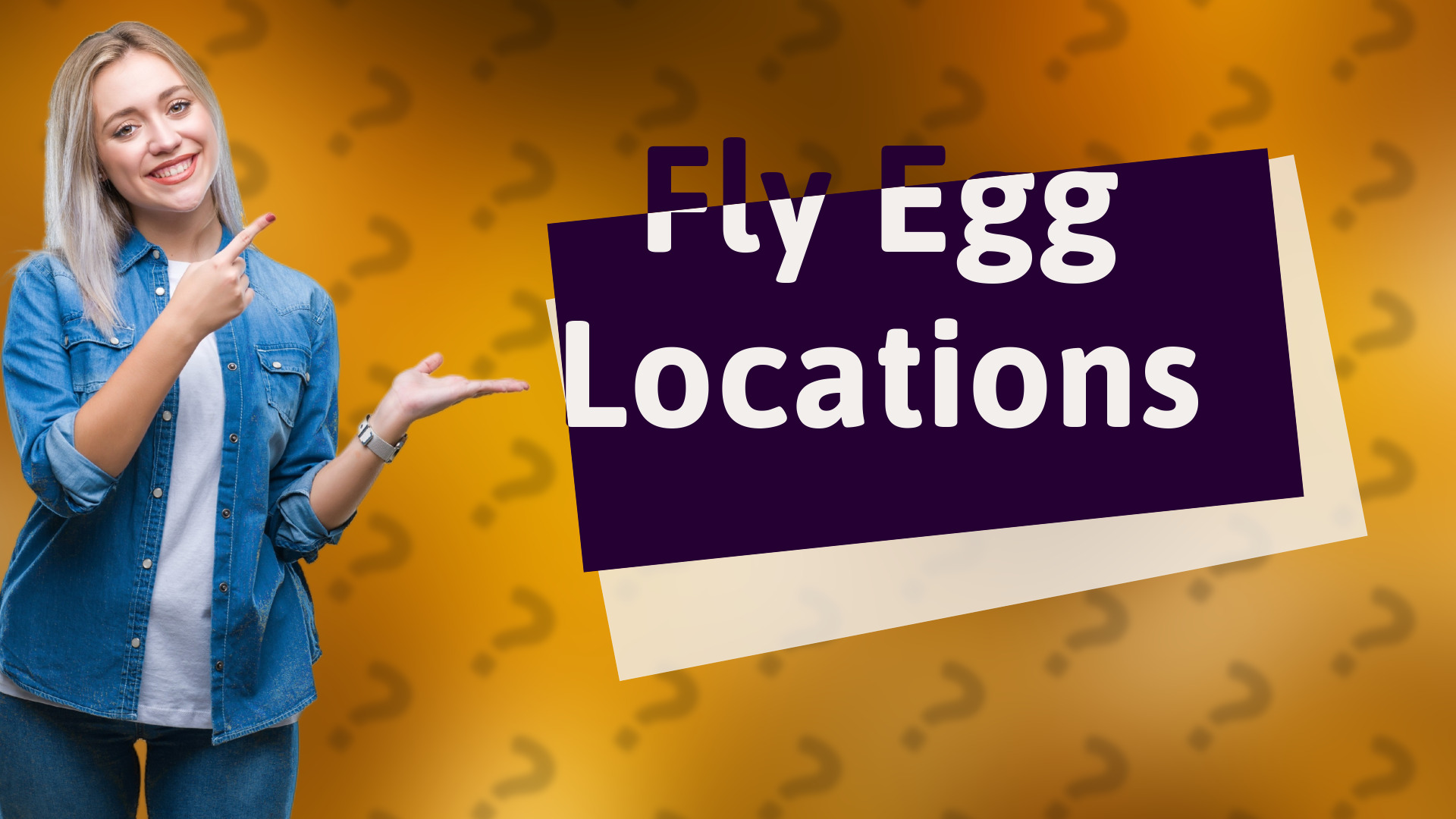 Fly Egg Locations
