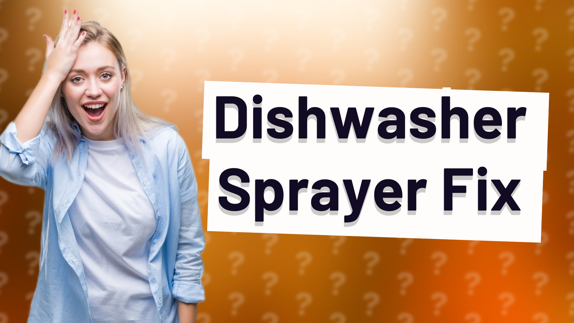 Dishwasher Sprayer Fix