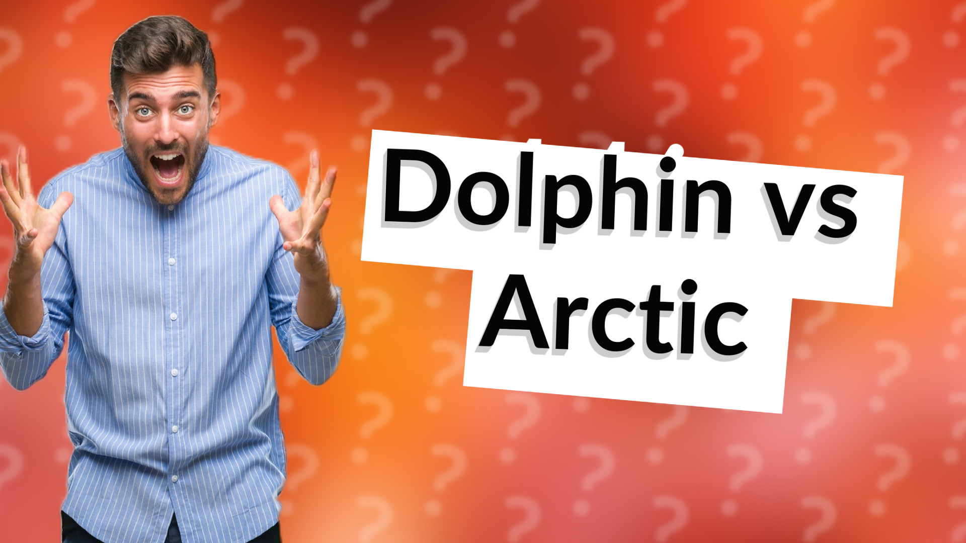 Dolphin vs Arctic