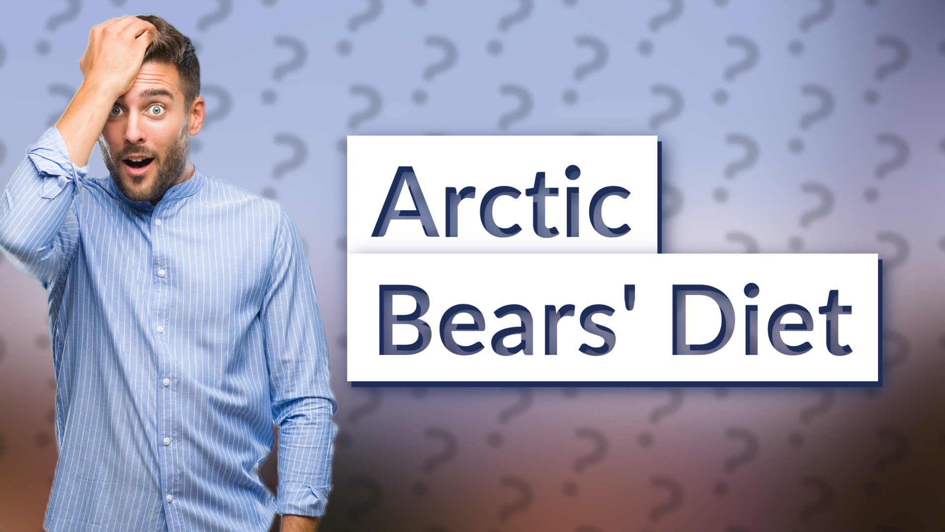 Arctic Bears' Diet