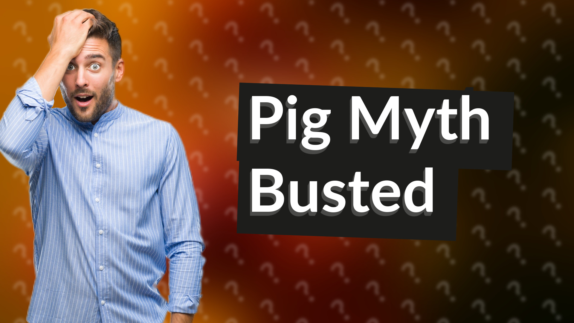 Pig Myth Busted