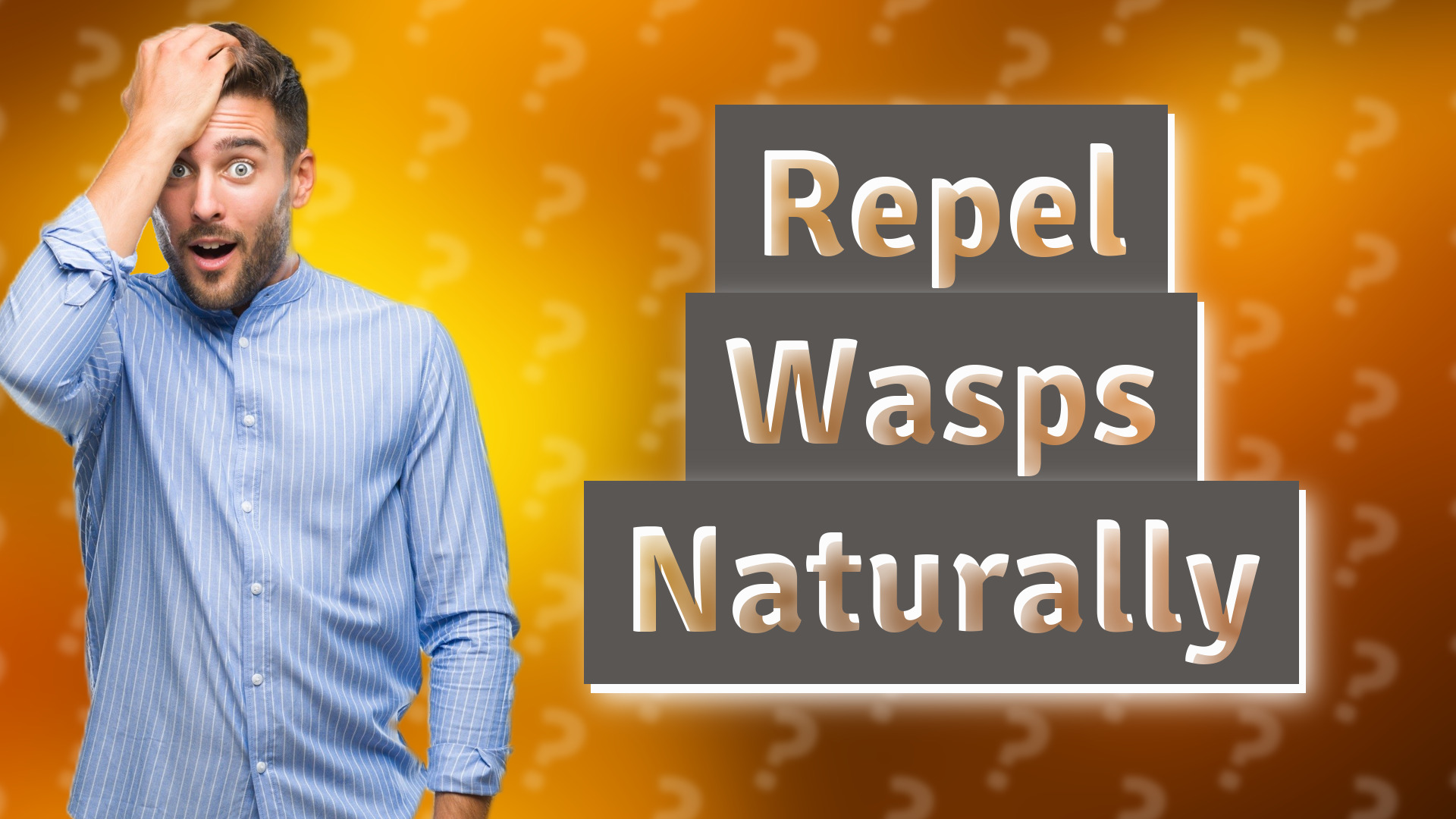 Repel Wasps Naturally