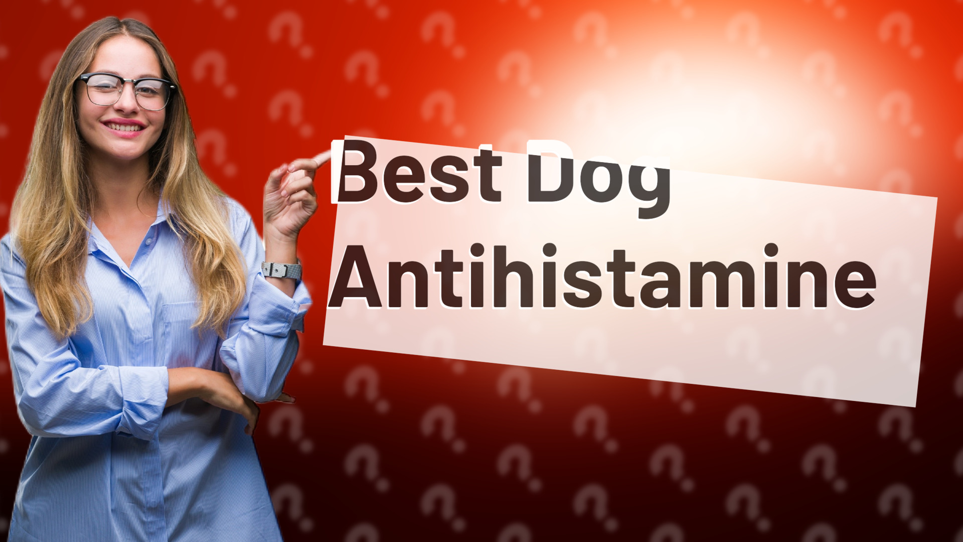 Best Dog Antihistamine