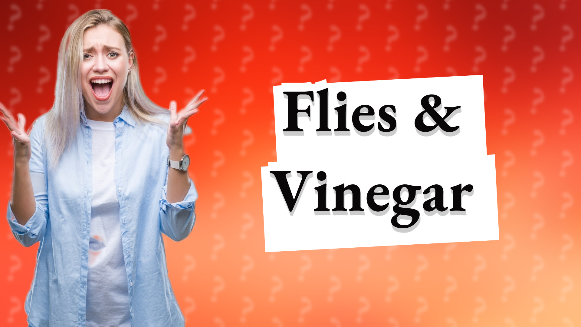 Flies & Vinegar