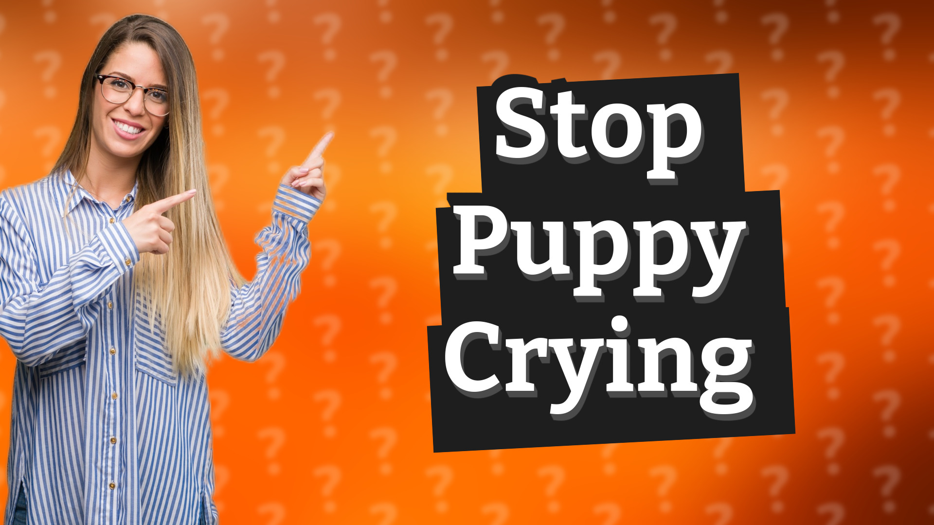 Stop Puppy Crying