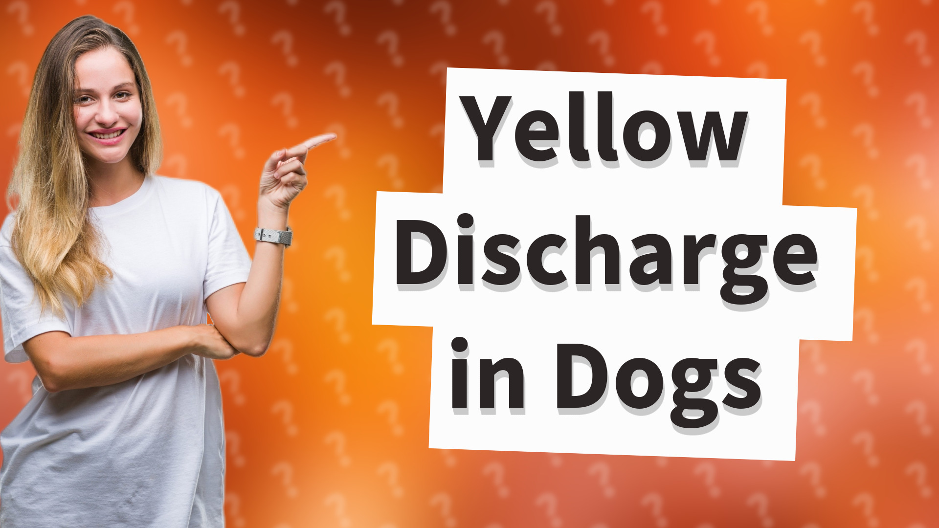 Yellow Discharge in Dogs