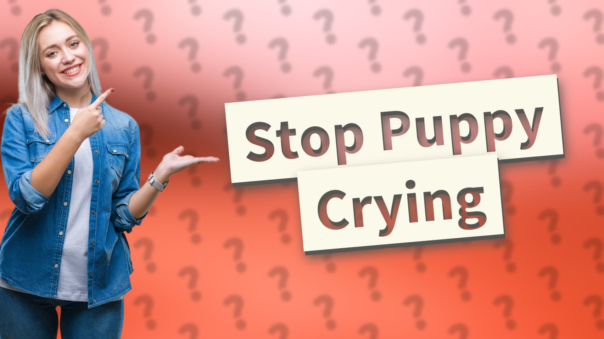 Stop Puppy Crying