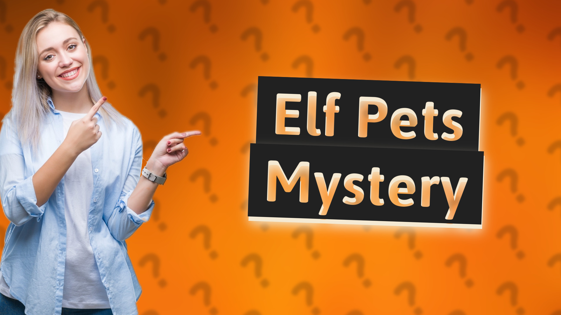 Elf Pets Mystery