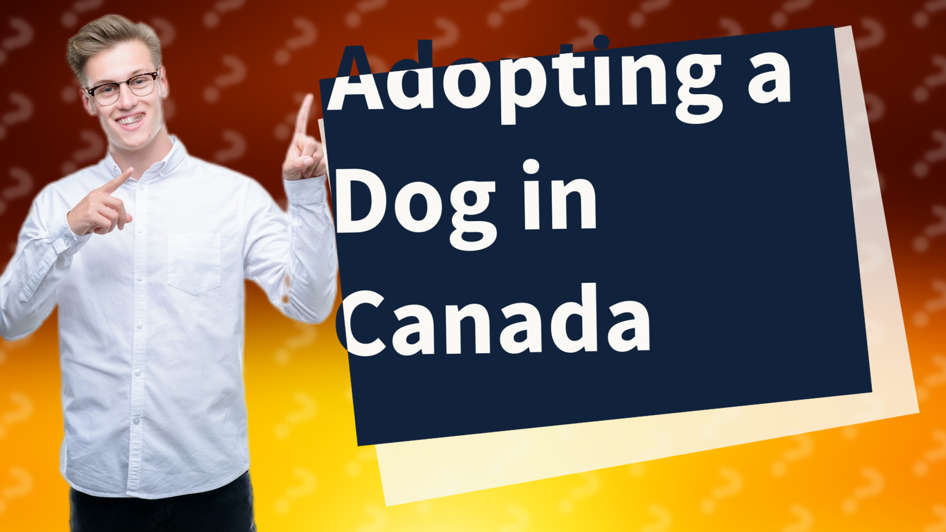 Adopting a Dog in Canada