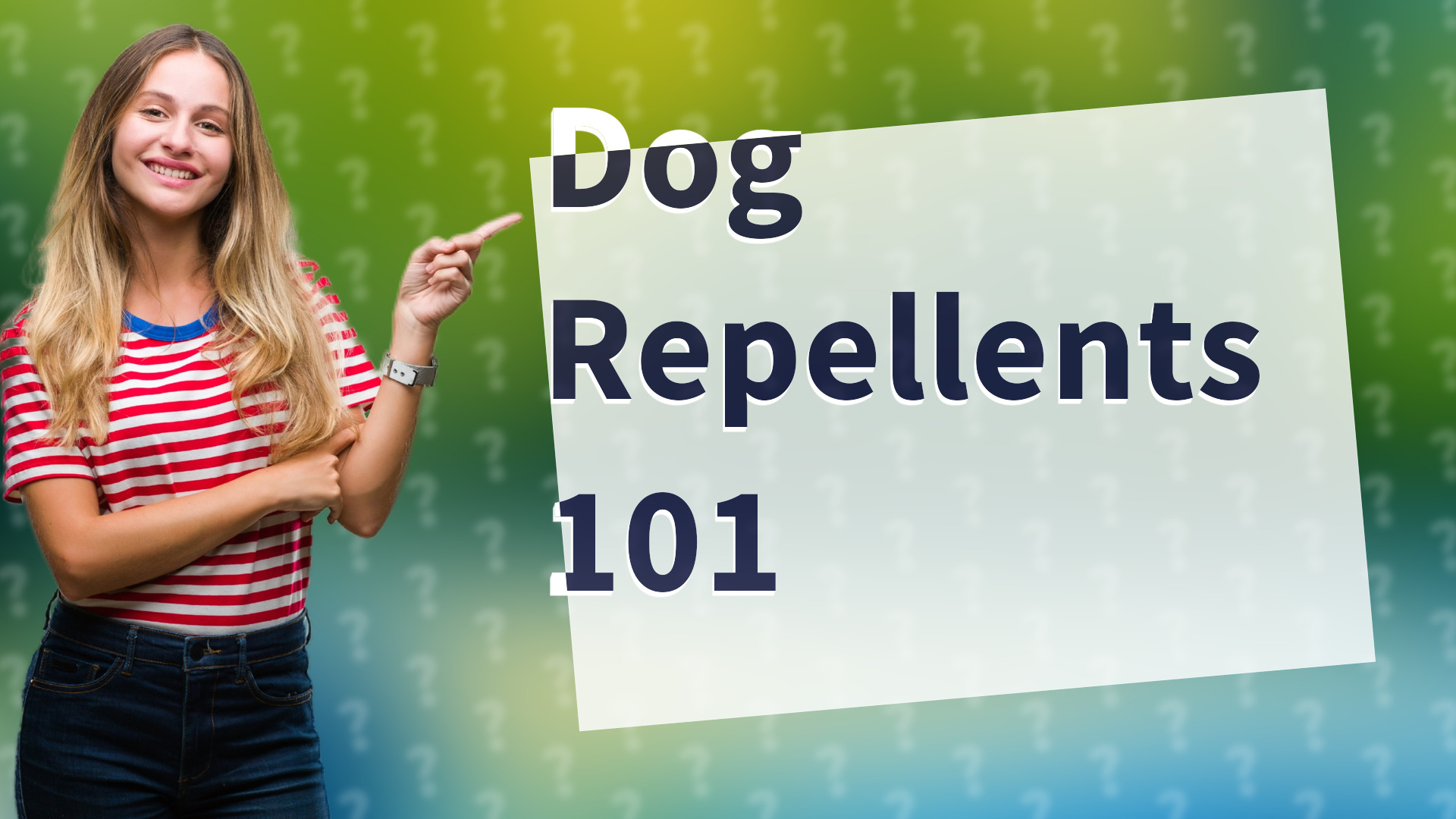 Dog Repellents 101