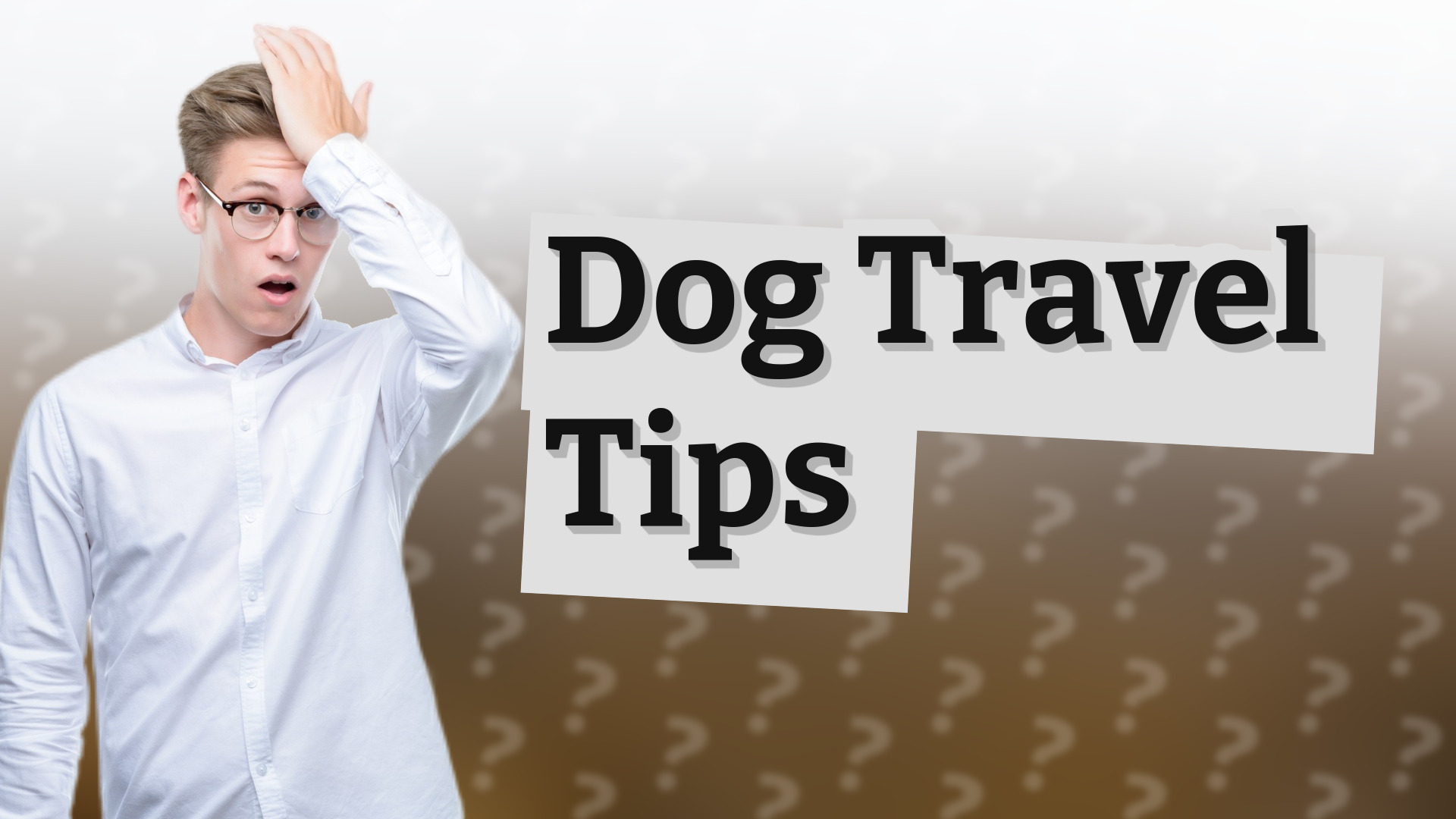 Dog Travel Tips