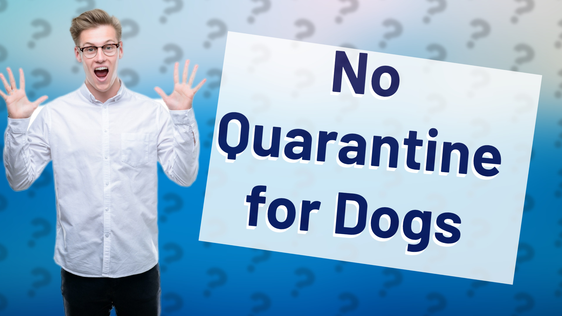 No Quarantine for Dogs